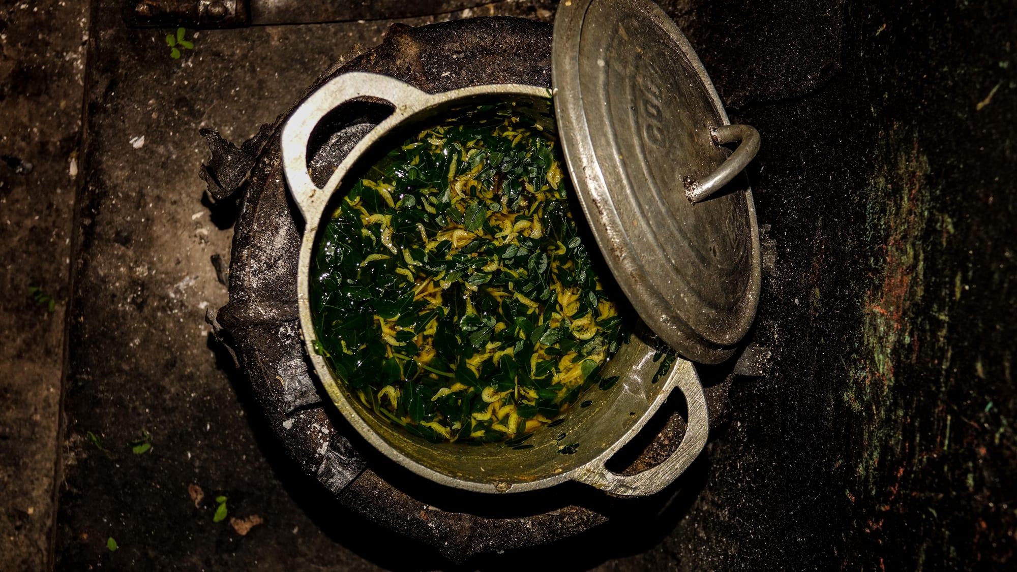A pot of stew with meat and leafy greens cooking