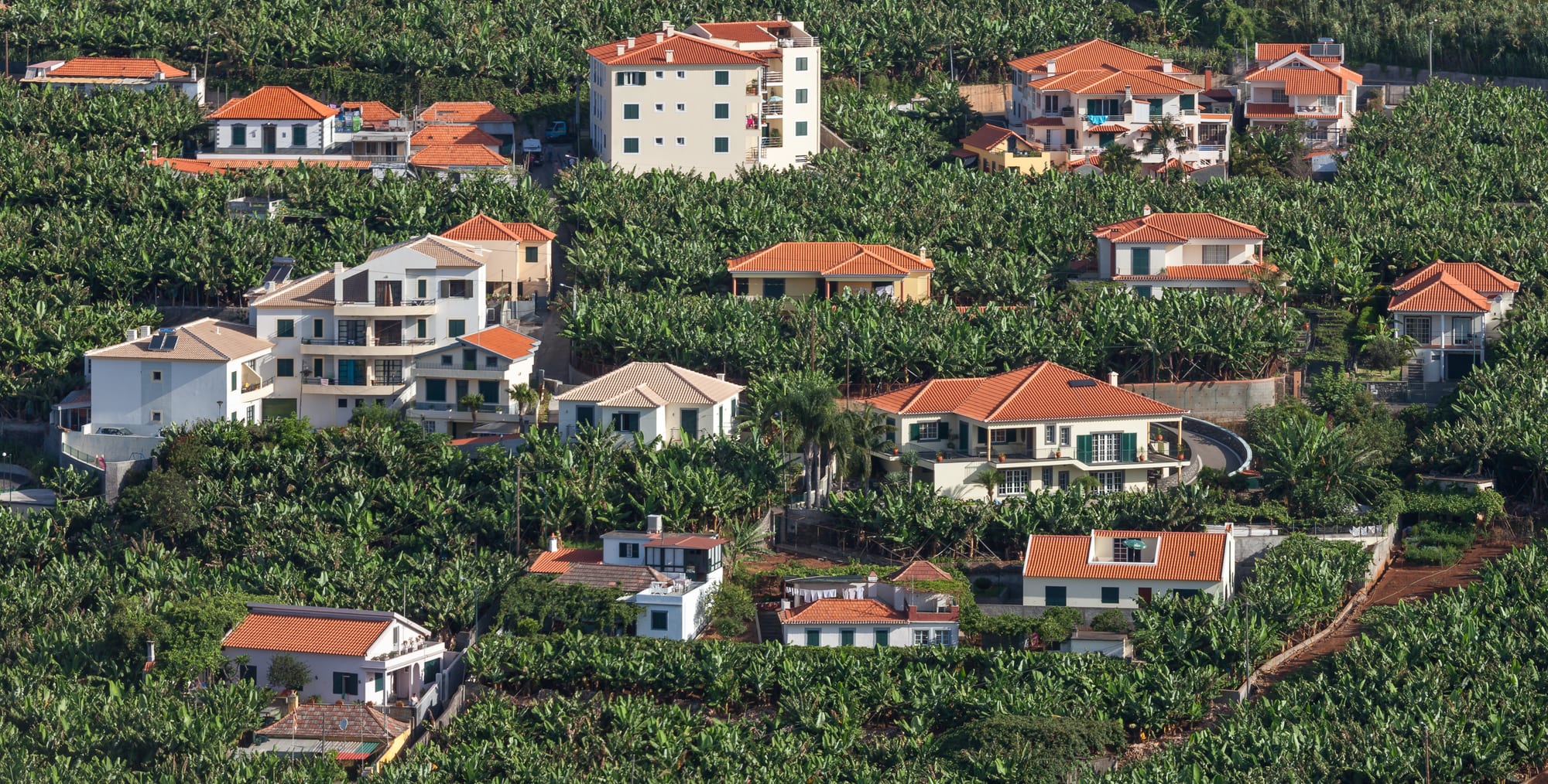 Houses with red-tiled roofs scattered among dense green banana plantations on a hillside