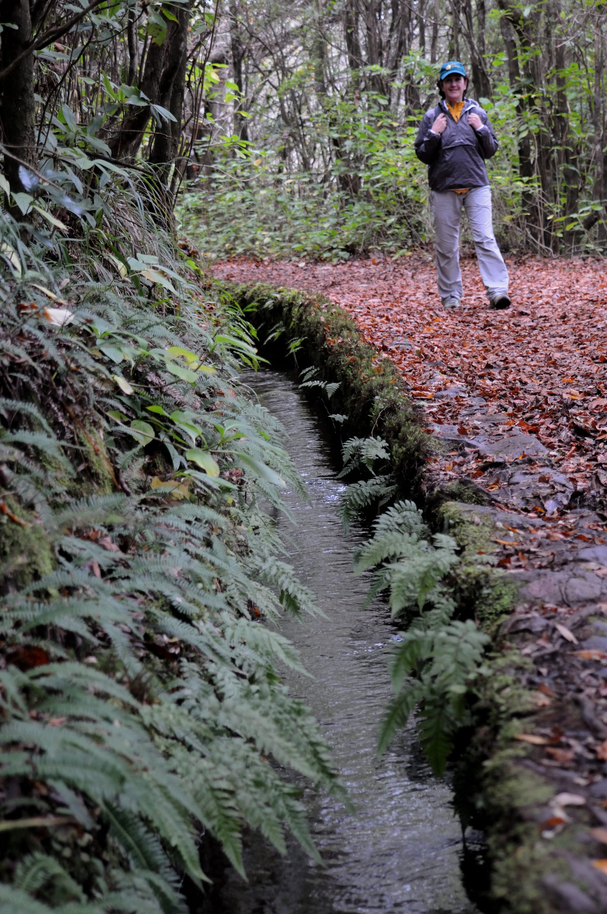 A narrow stone water channel running beside a leaf-covered forest path, with a person walking along the path