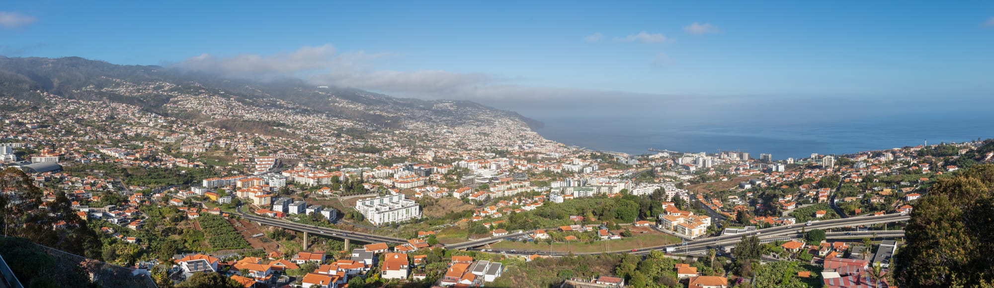 A city climbing steep green hills around a harbour, mountains behind