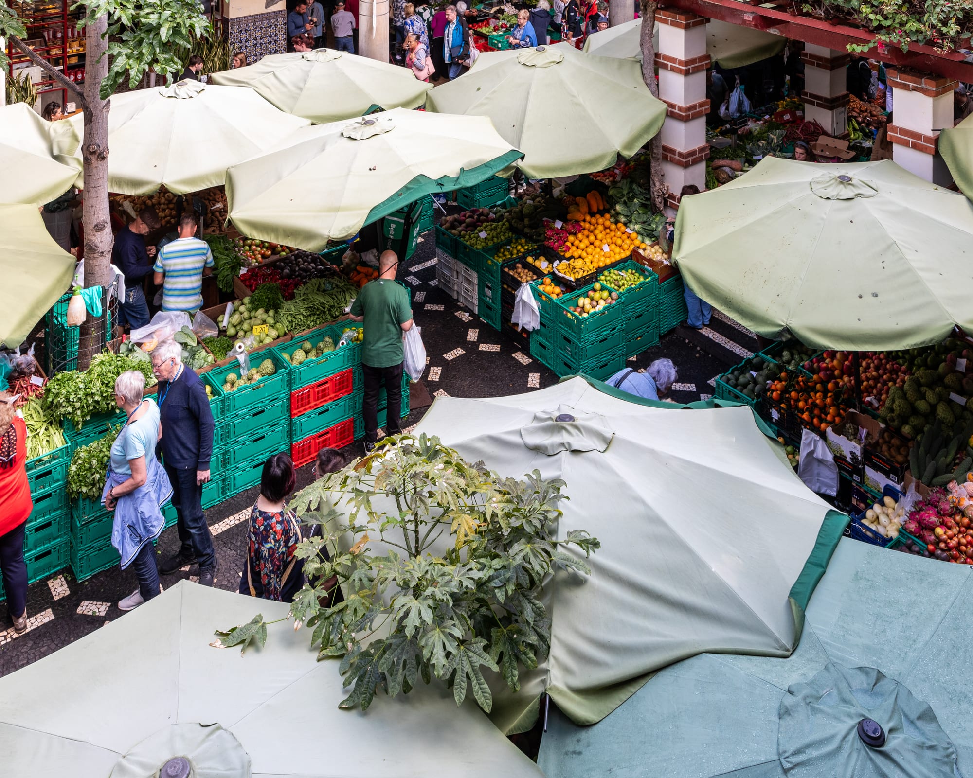 A covered market hall with stalls of fresh produce