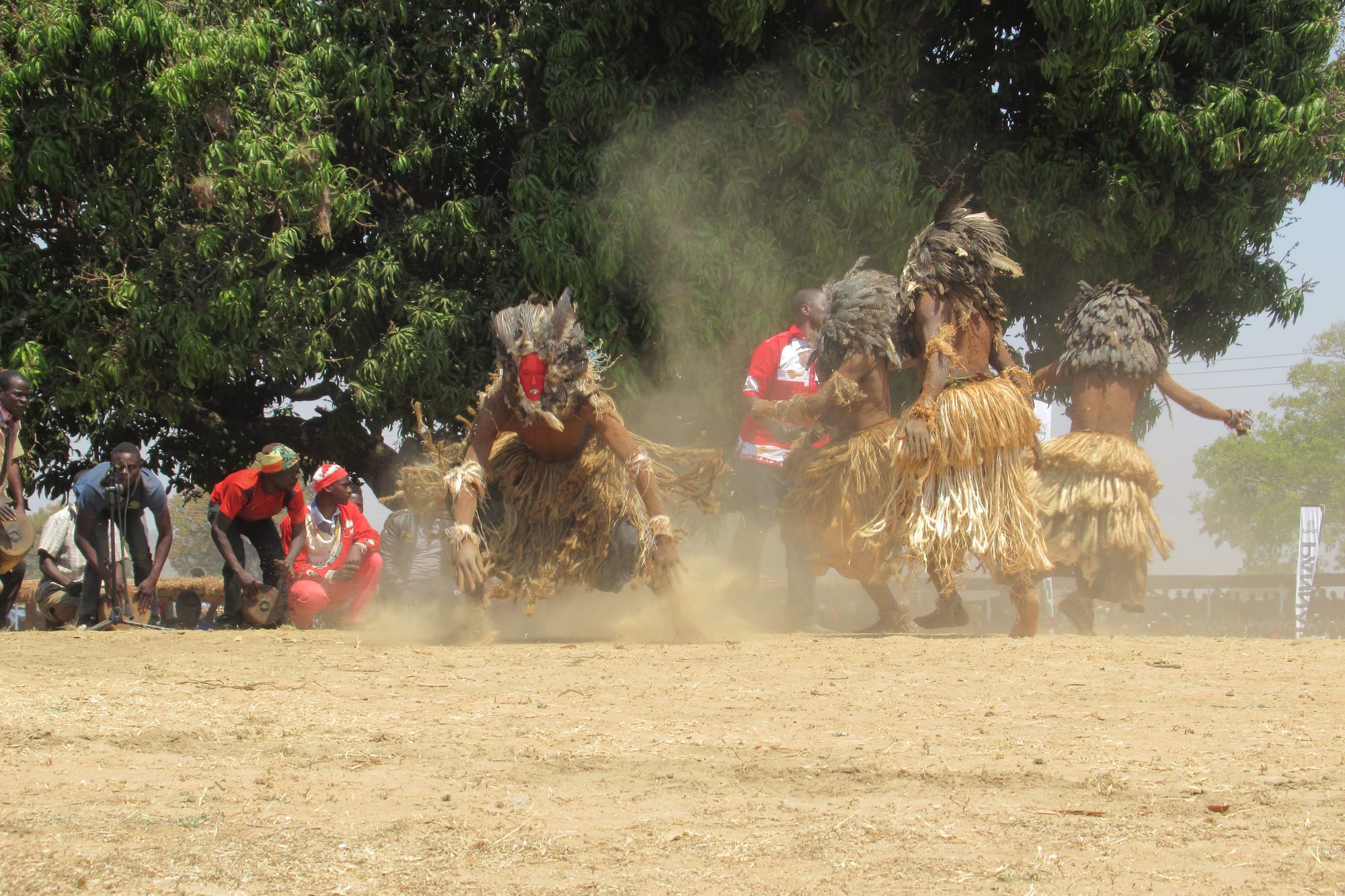 Masked Nyau dancers in costumes of straw and feathers leap and stamp on bare earth, raising a cloud of dust, while spectators and drummers watch from beneath a large tree