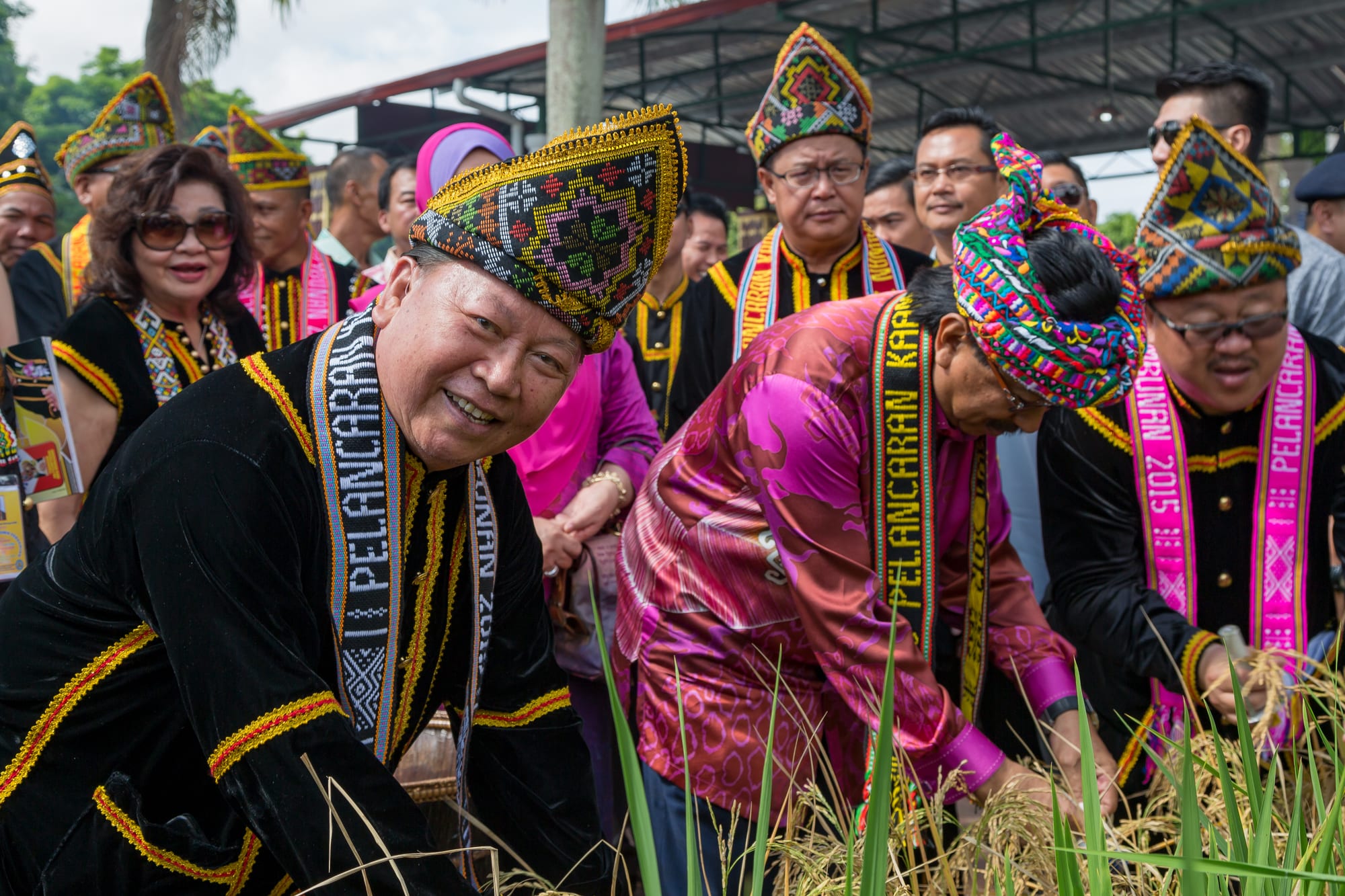Smiling men and women in black costumes with gold trim, woven sashes and tall patterned Dusun headgear gather around a patch of ripe rice, some cutting the stalks