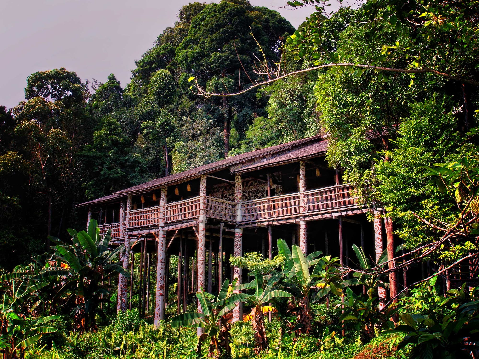 A long wooden longhouse raised high on carved posts, with a covered veranda and railings running its length, set among tall rainforest trees and banana plants