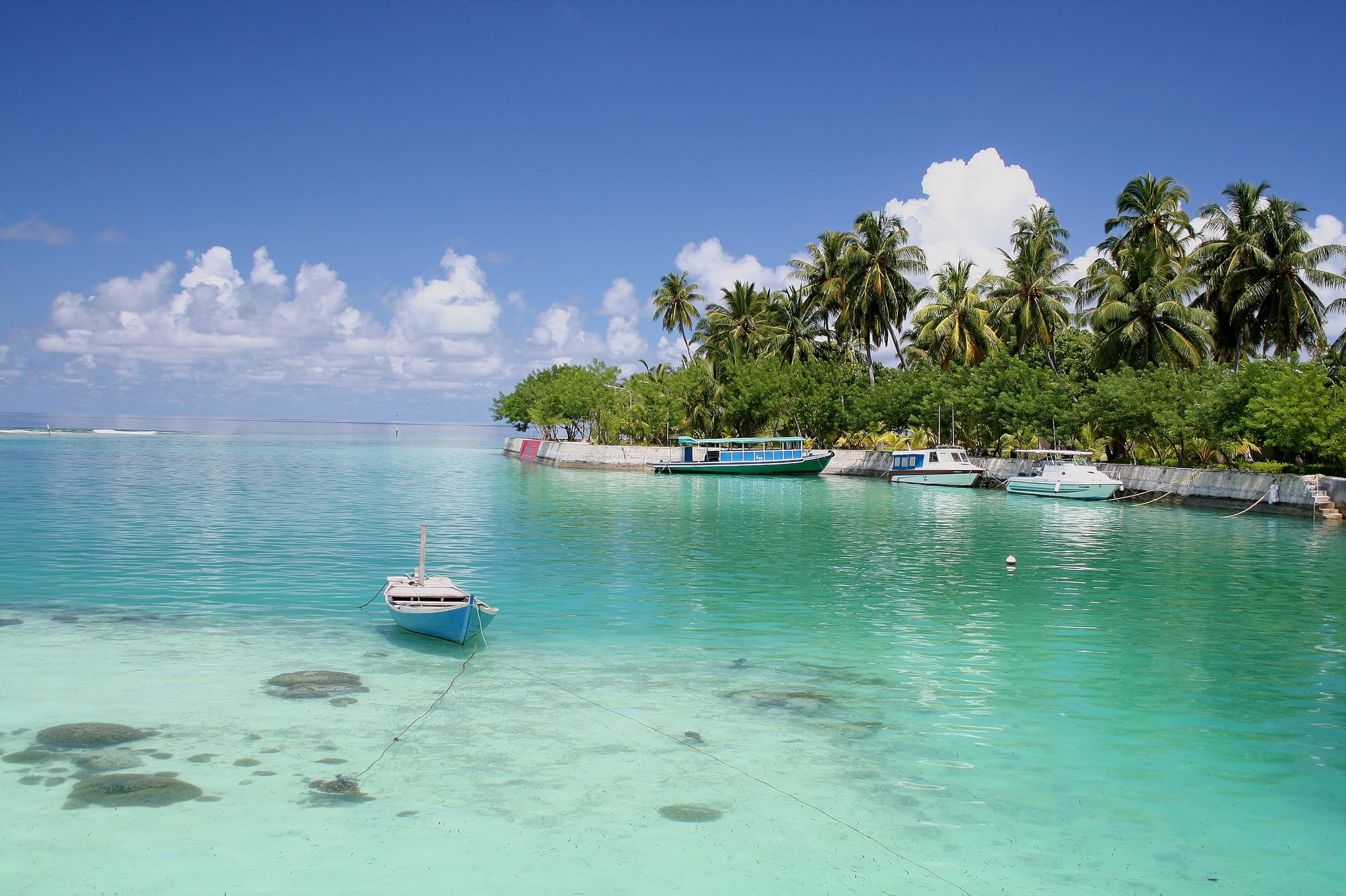 A quiet tropical lagoon shoreline with palm trees and a wooden jetty