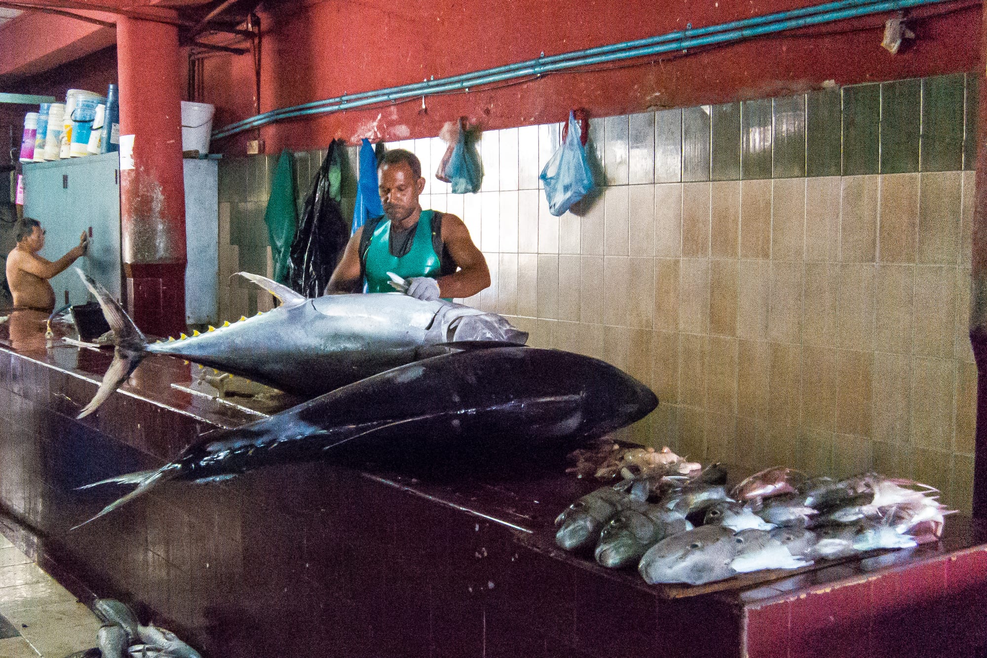 A fishmonger preparing large tuna at an outdoor market