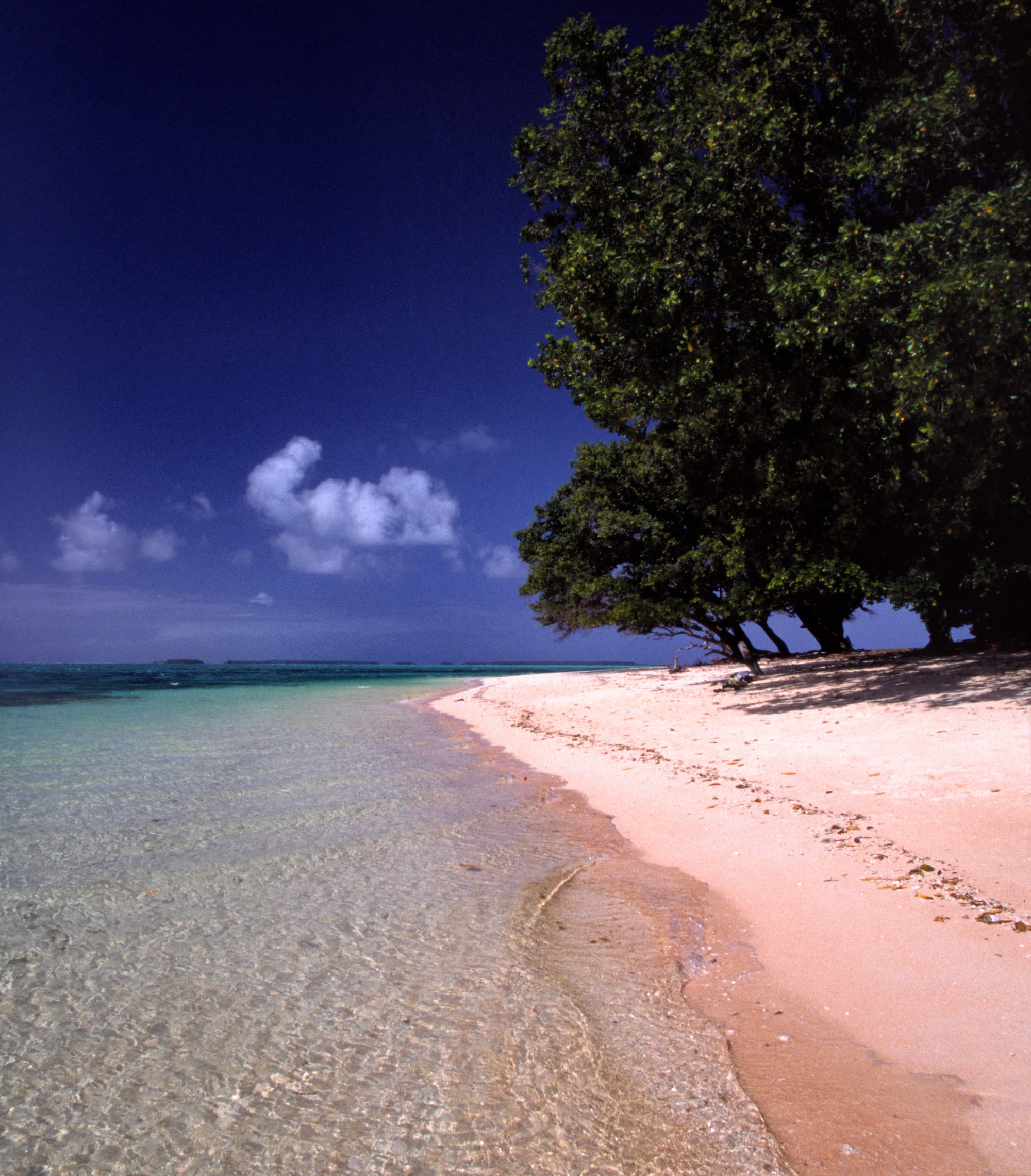 A palm-lined white sand beach on a narrow atoll strip, ocean on one side