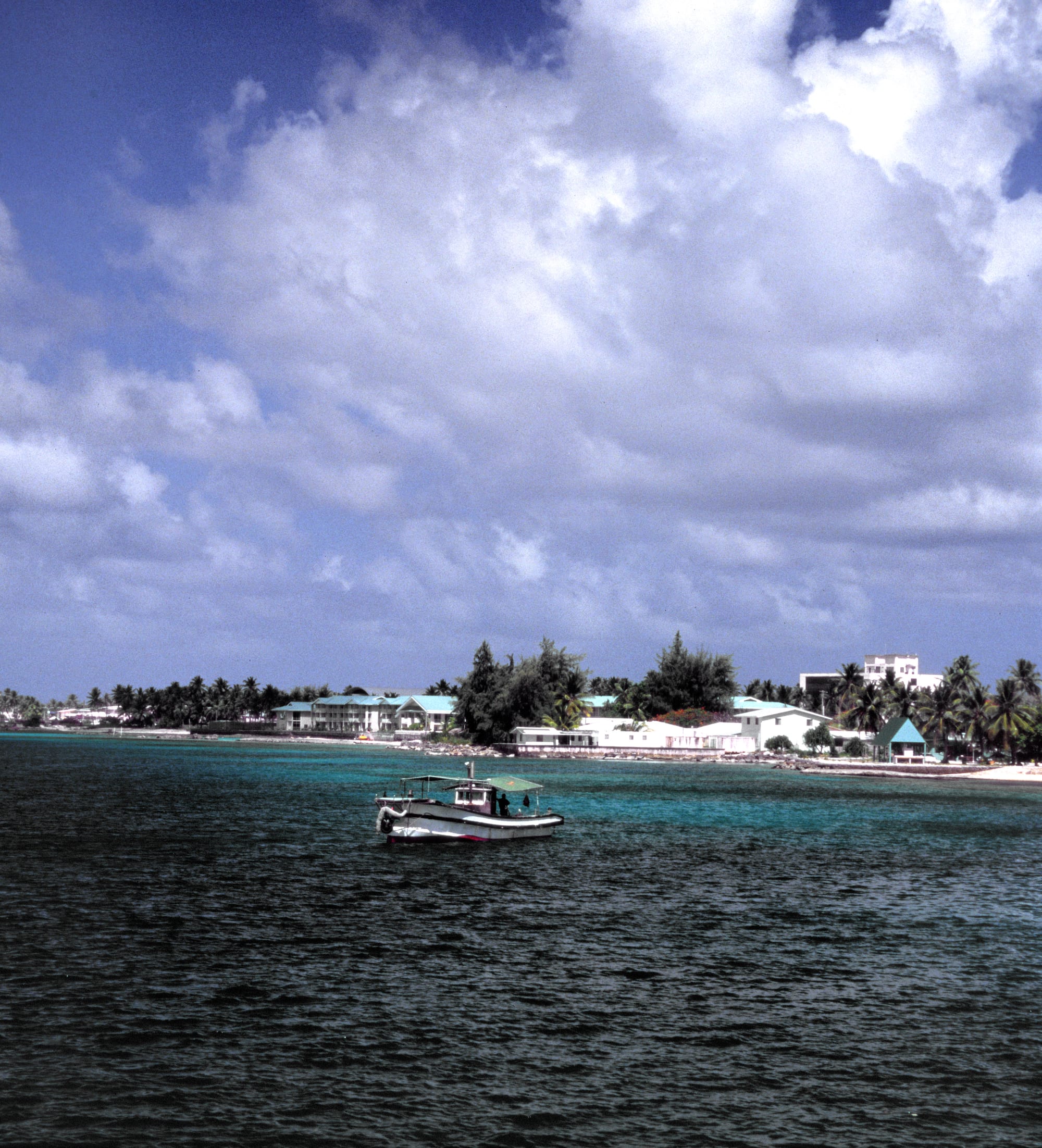 A calm lagoon shoreline with palm trees and a small boat