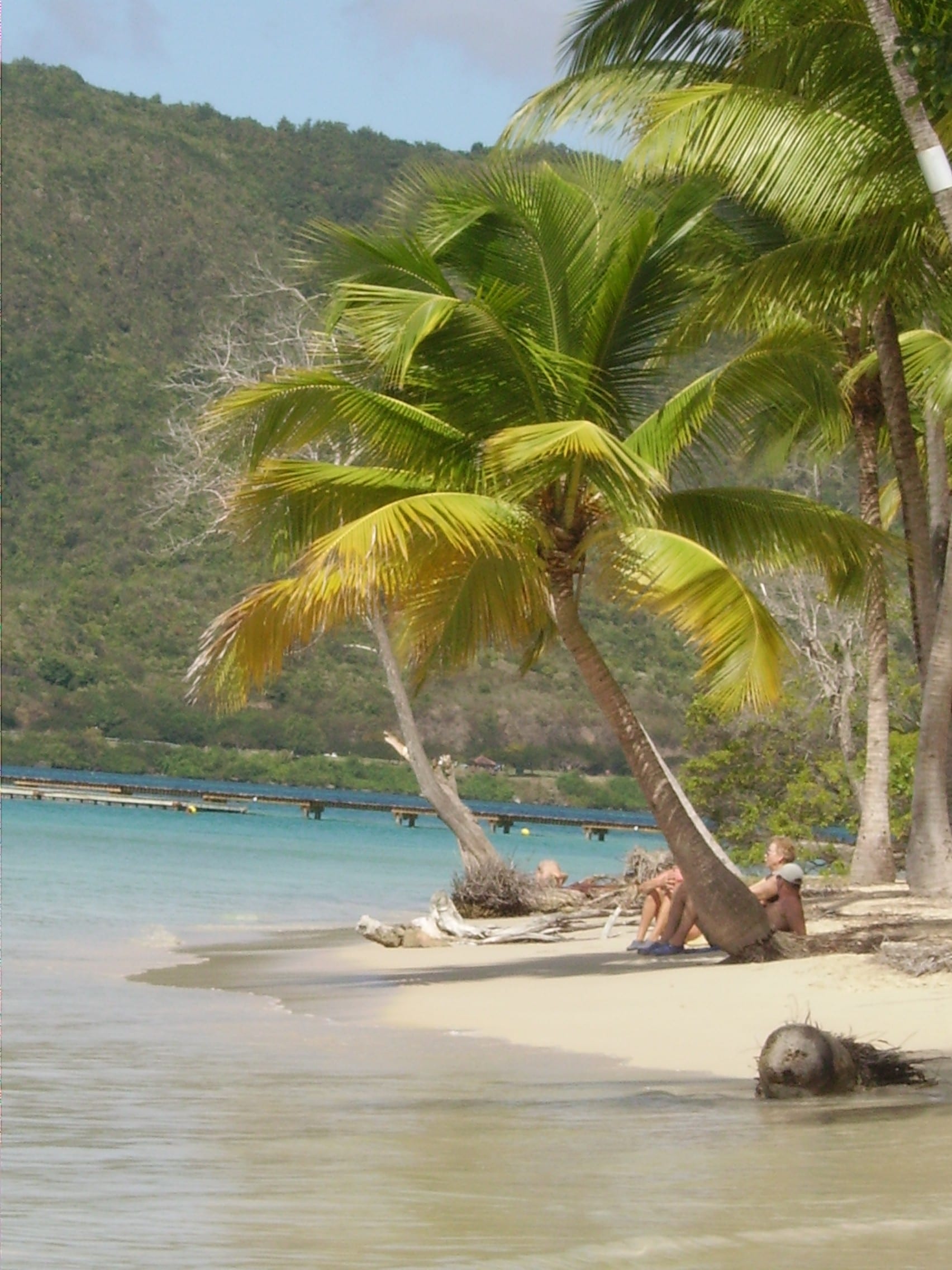 People sitting in the shade of leaning palm trees on a white-sand beach beside calm turquoise water