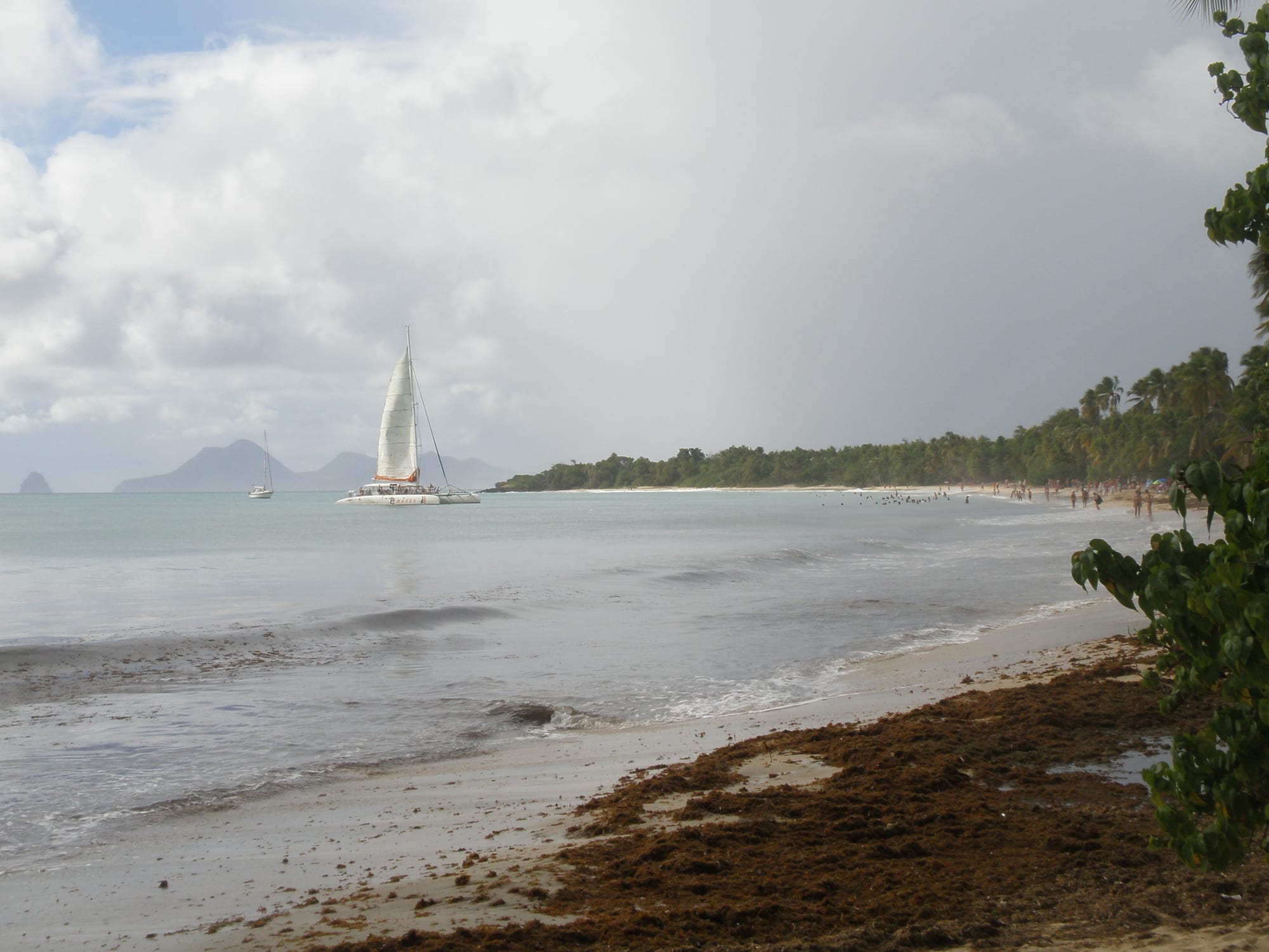 A long white sand beach lined with coconut palms and calm turquoise water