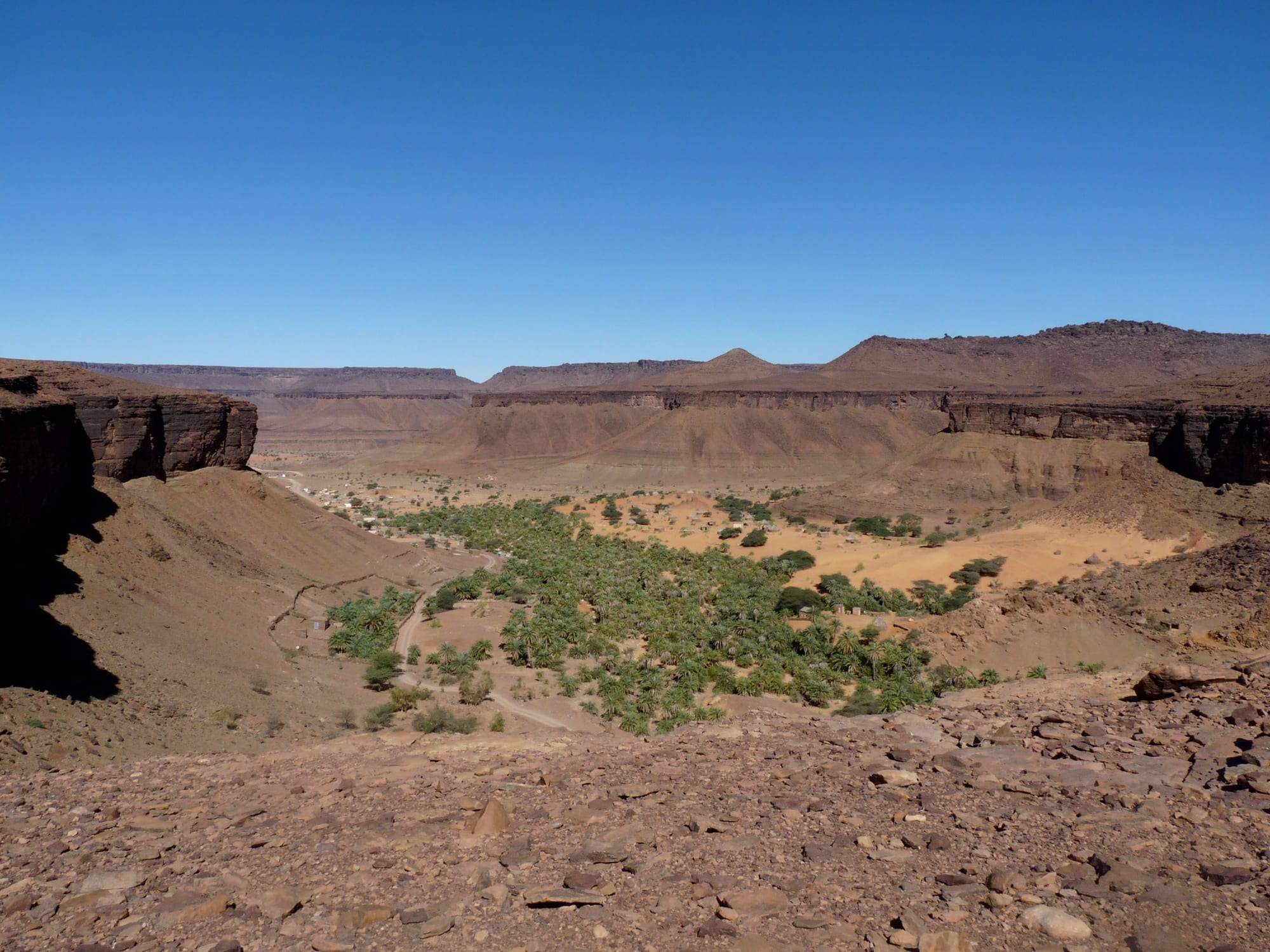 Date palms and pools of water in a narrow desert canyon between rock walls