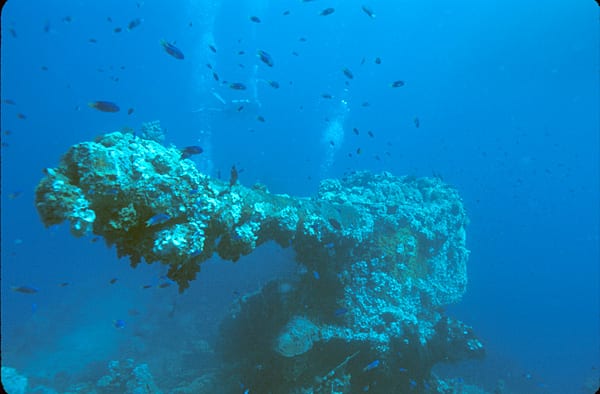 A coral-encrusted deck gun on a sunken ship underwater