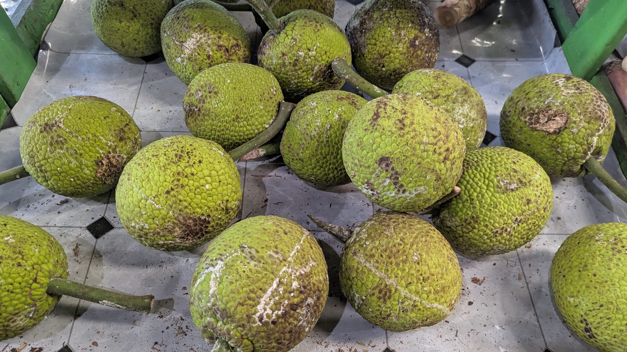 Large green breadfruits displayed for sale at a market