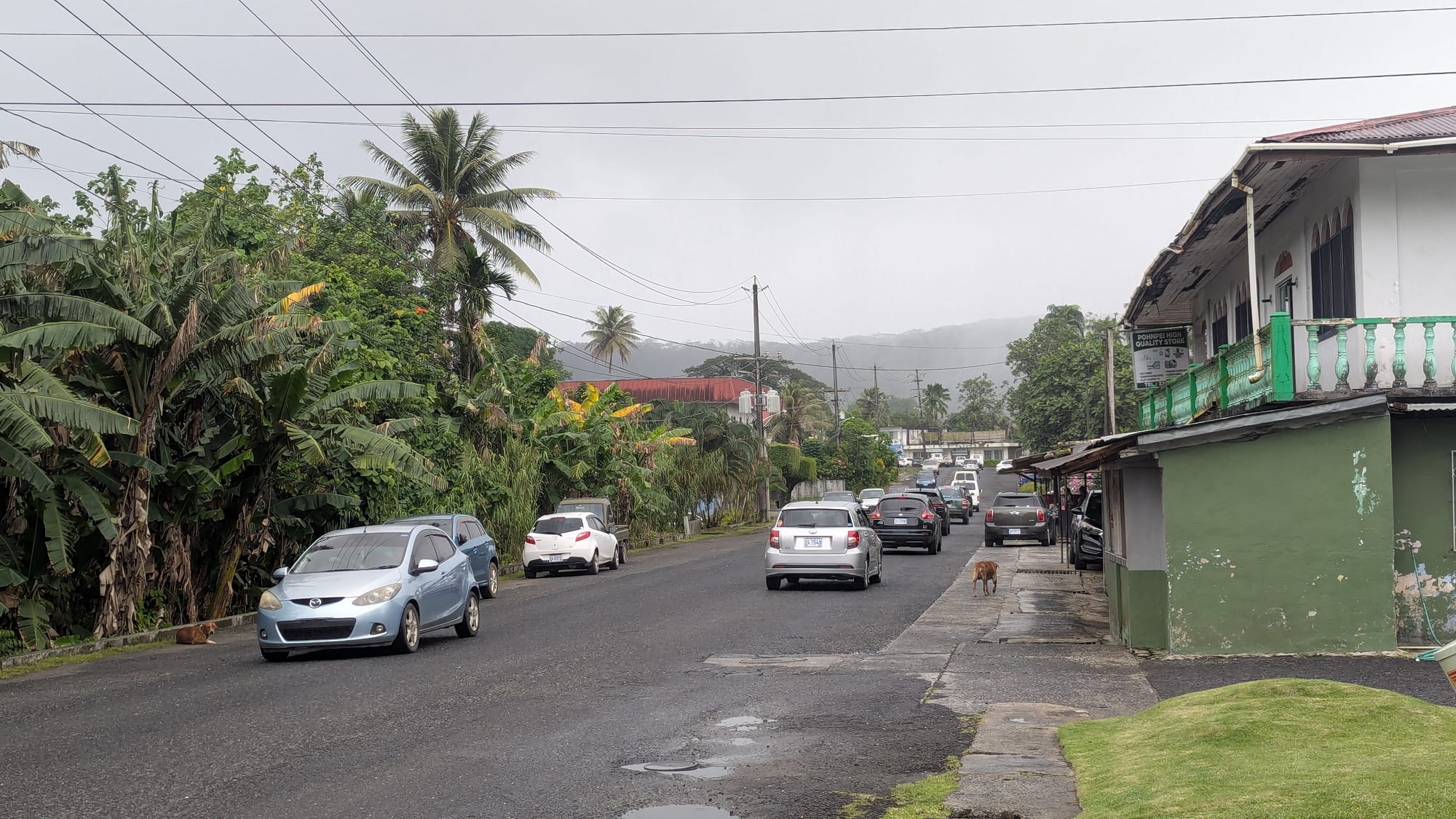 A rainy street in Kolonia, Pohnpei's main town, with parked and passing cars, palm trees and small shops