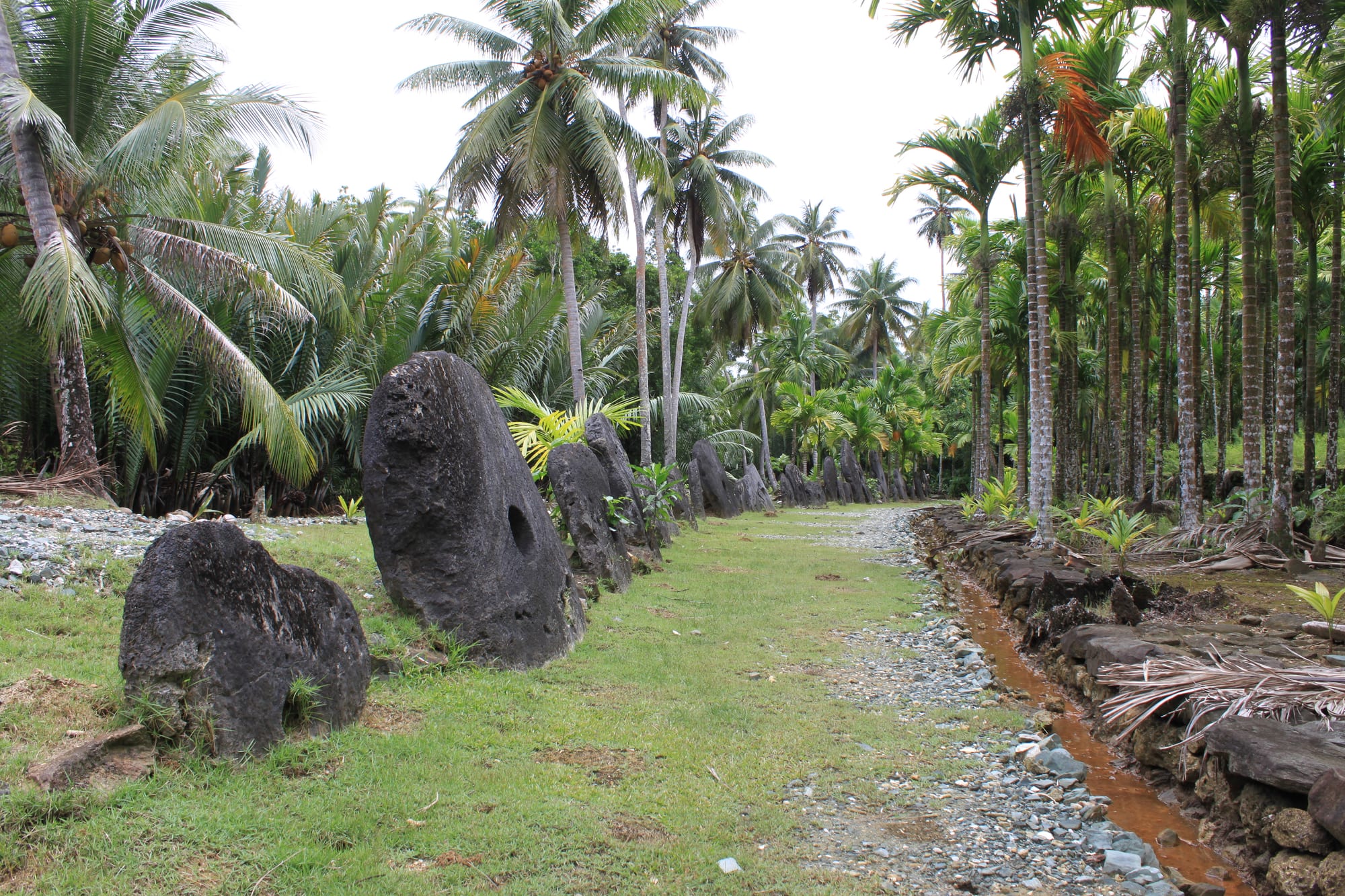Large dark stone discs with central holes stand upright in a row beside a gravel path lined with palm trees