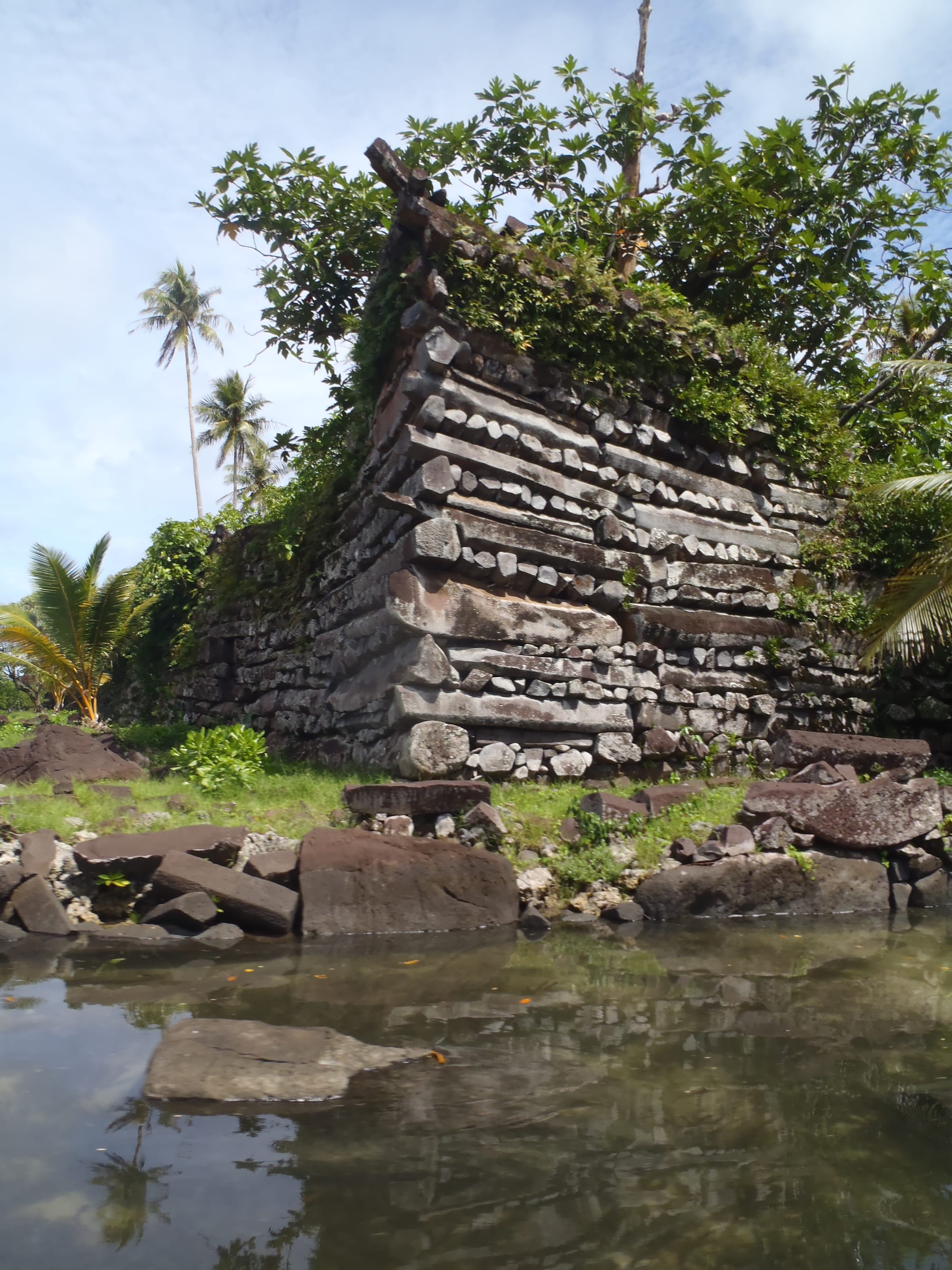 Walls of stacked black basalt columns rising from shallow water among mangroves