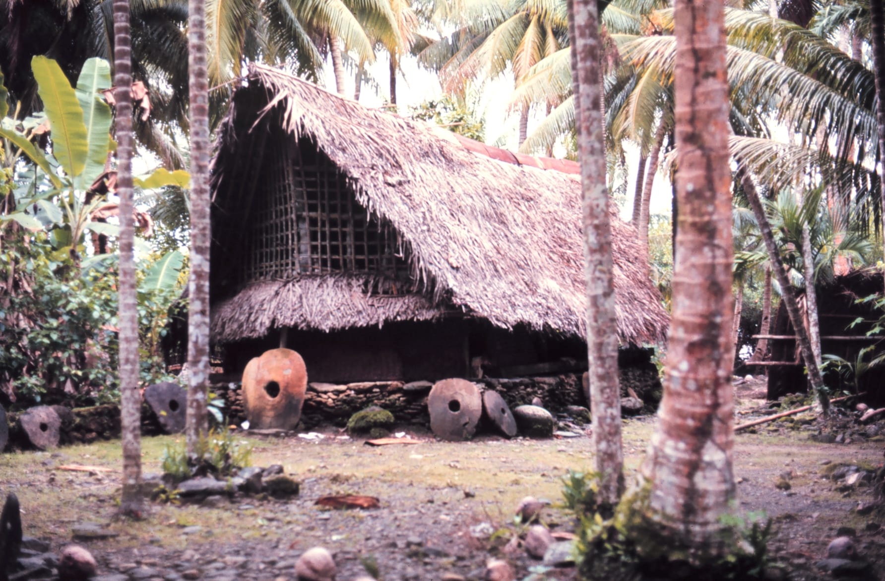 A thatched Yapese community house with several large stone discs, some over a metre across, standing on end nearby