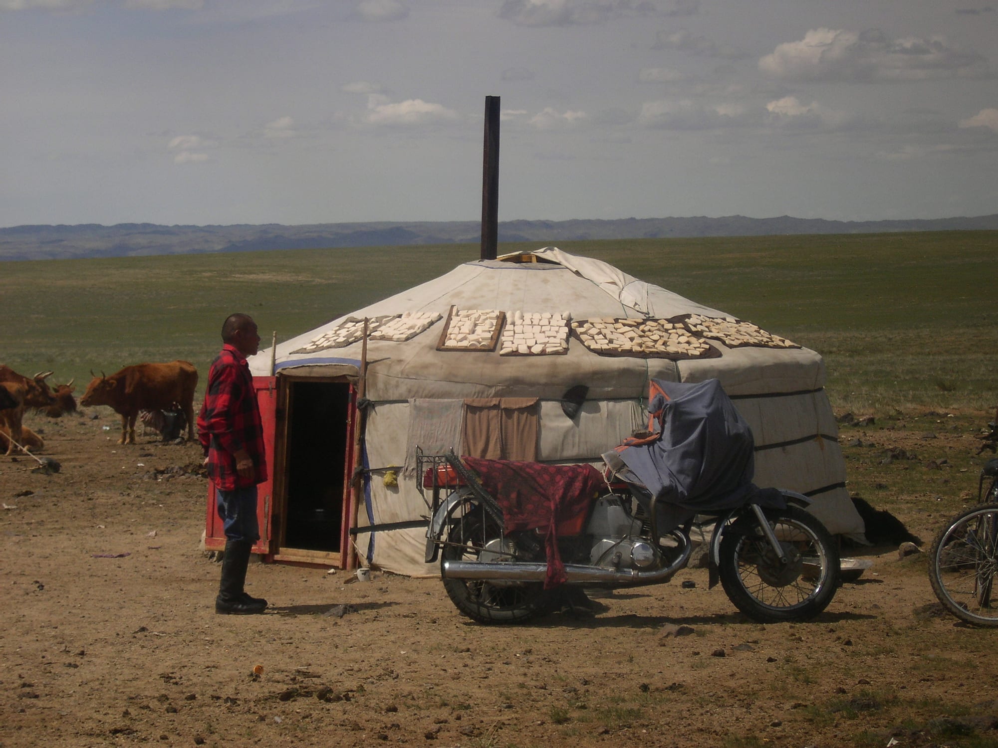 A Mongolian ger on open steppe, with a man standing at the doorway, cattle grazing nearby, a motorbike parked out front, and flatbread drying on the roof