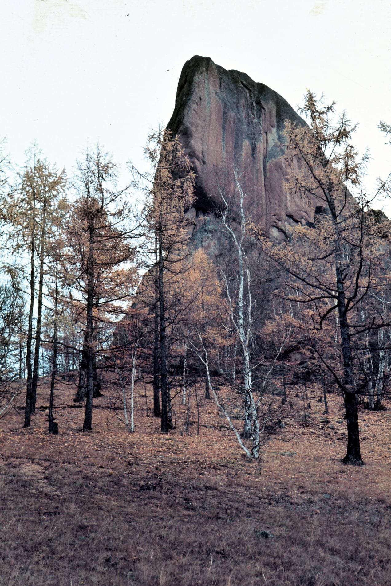 A large boulder naturally shaped like a turtle, standing in open grassland