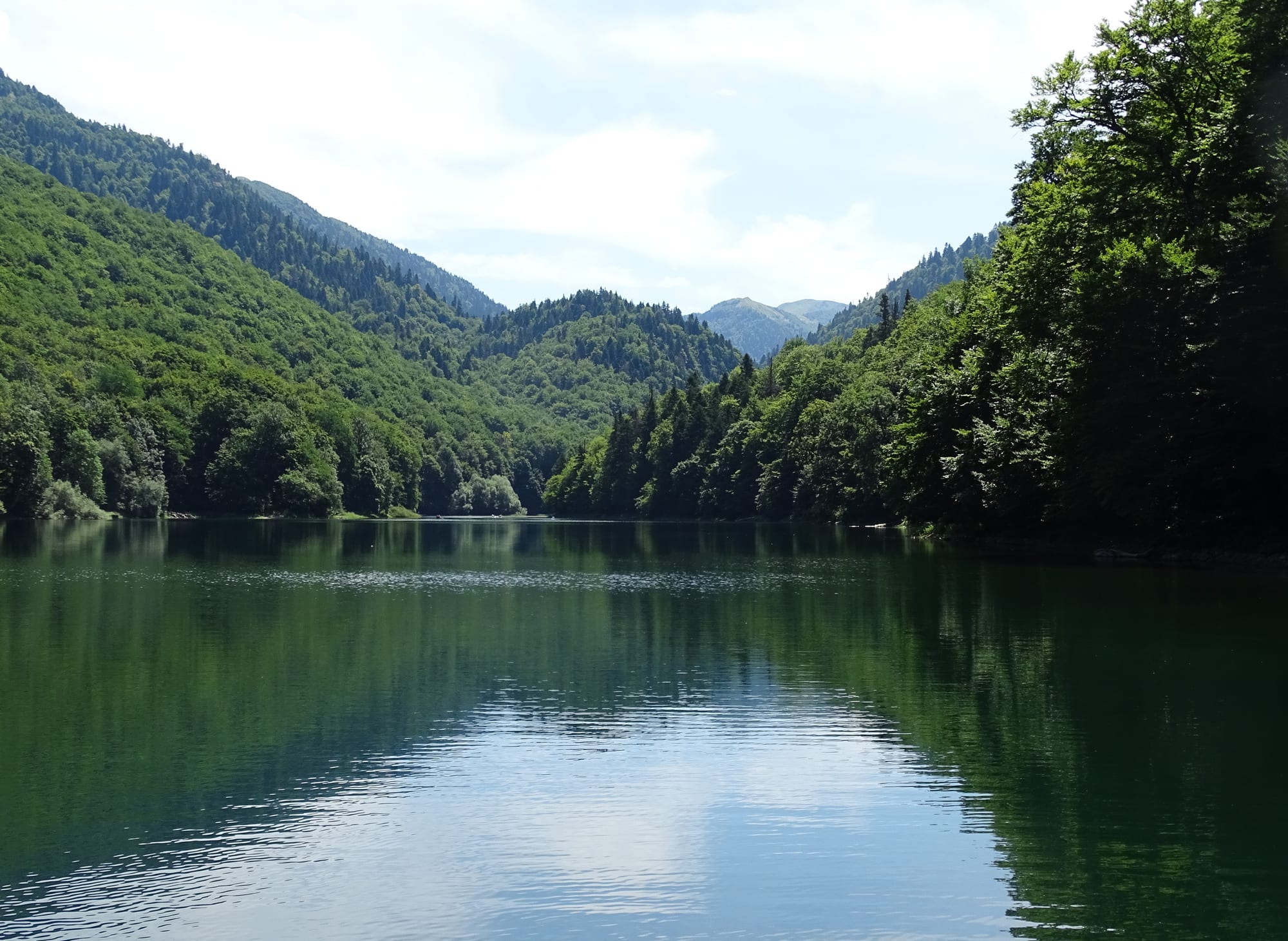 A dark glacial lake ringed by pine forest and rocky mountains