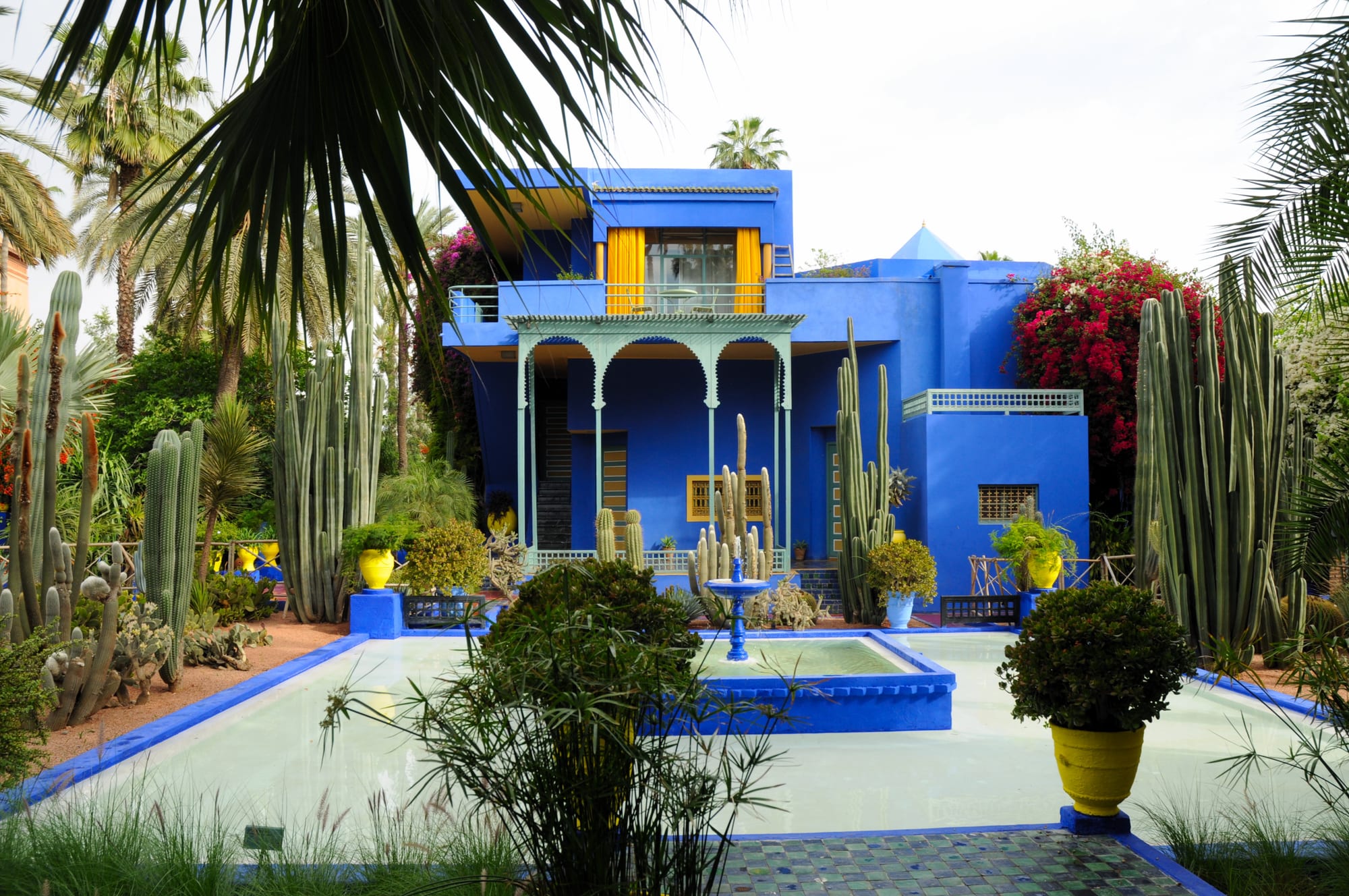 A vivid cobalt-blue villa surrounded by cacti and palm trees in a garden
