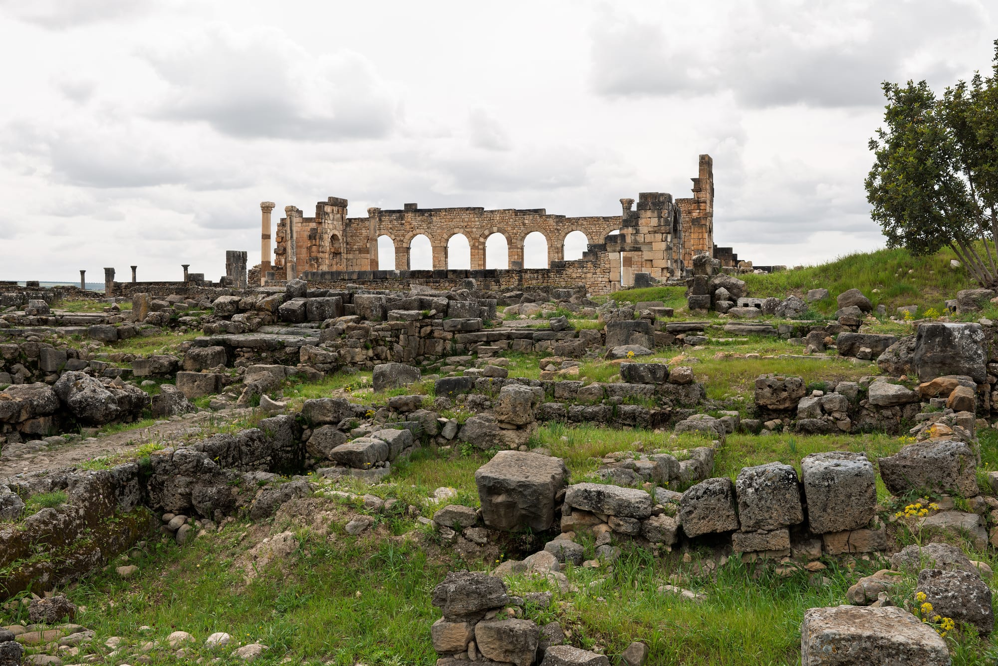 Standing columns, a triumphal arch and paved streets of the Roman city of Volubilis among green hills