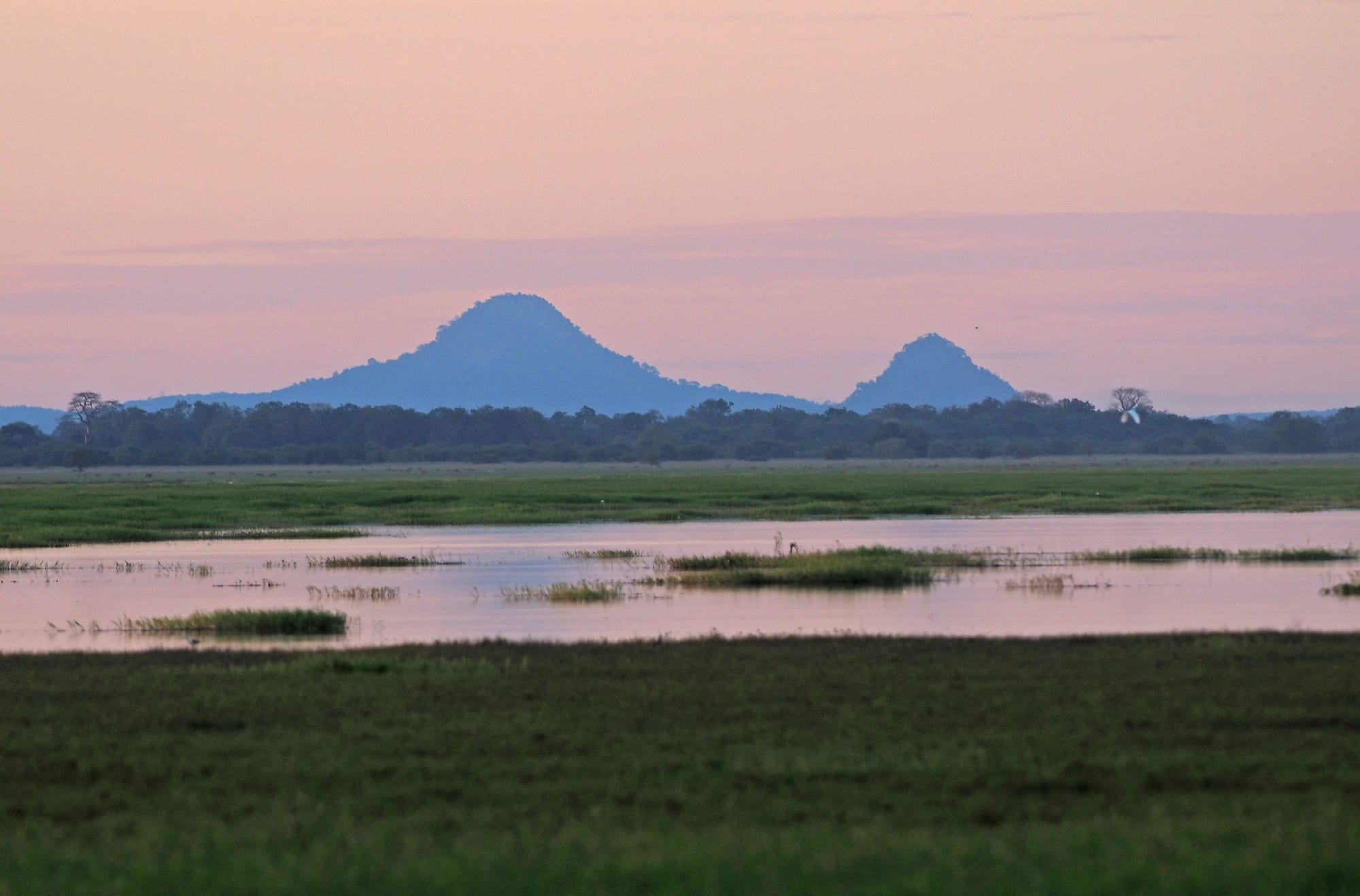 A forested mountain rising above the savanna plains of a national park
