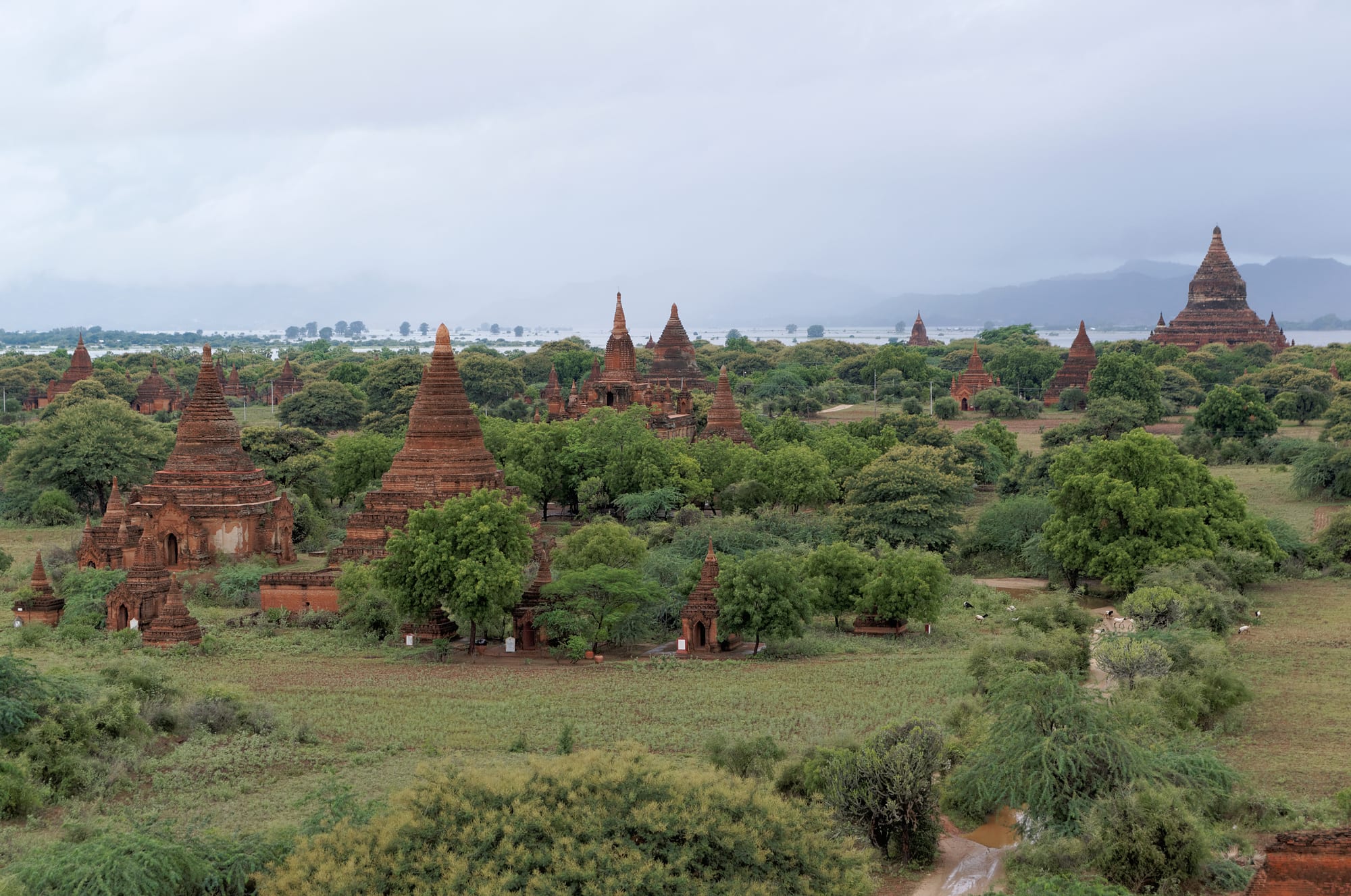 Thousands of ancient brick temples scattered across a plain in the morning mist