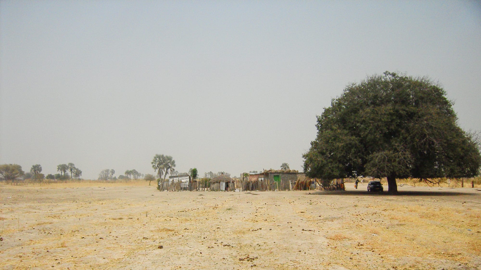 A walled homestead compound of several thatched and corrugated-metal structures standing in open, dry grassland under a large tree