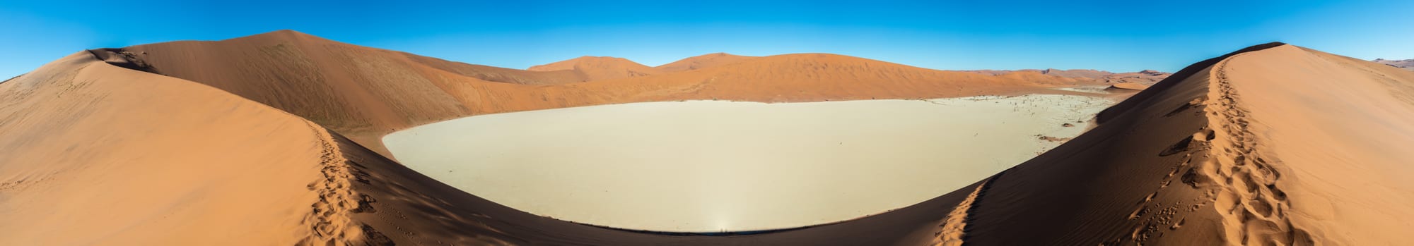 Blackened dead trees standing in a white clay pan surrounded by towering red sand dunes