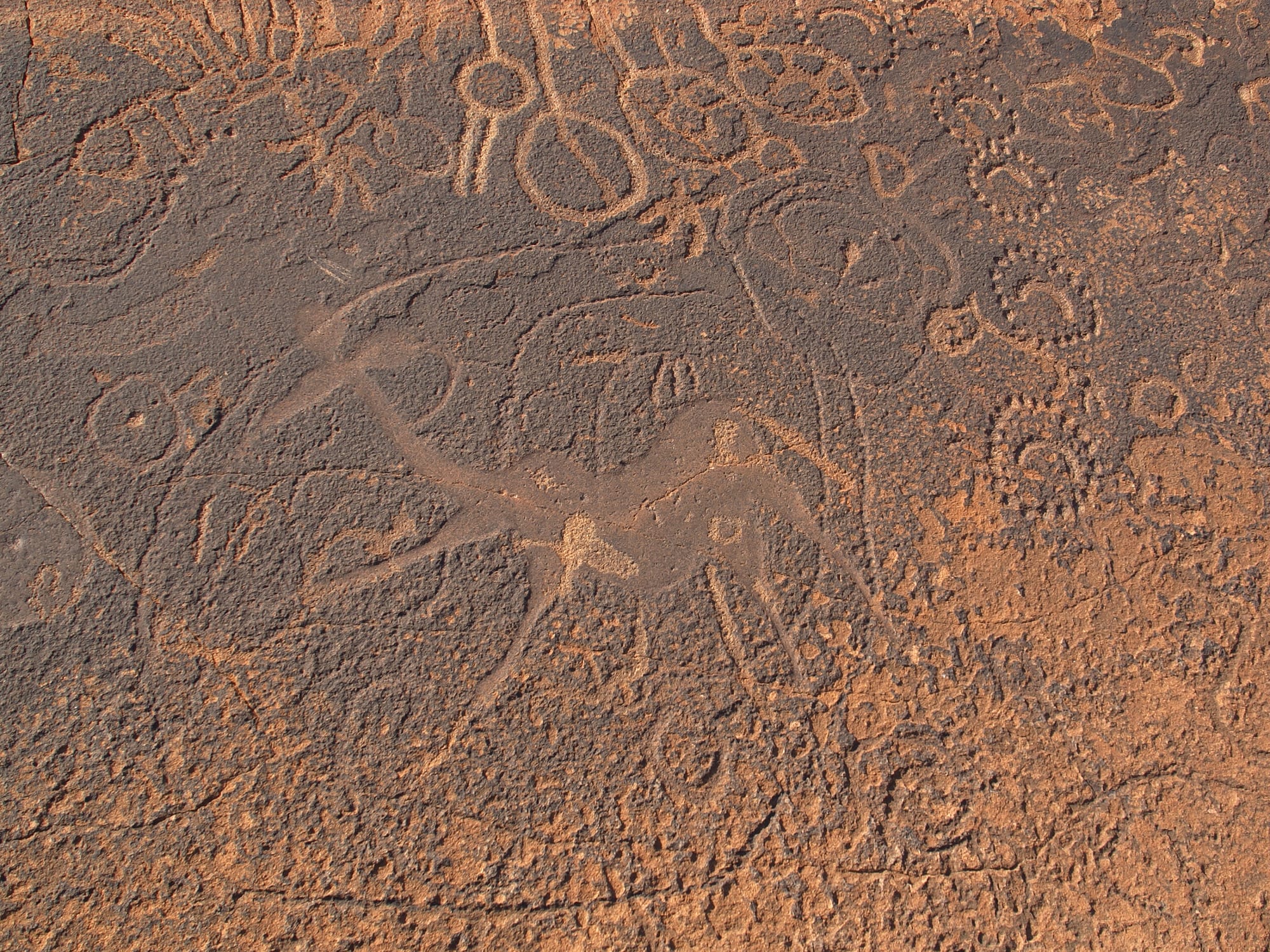 A slab of dark reddish rock covered with engraved figures, including a large kudu-like animal in the centre surrounded by circles, dotted rings and abstract shapes