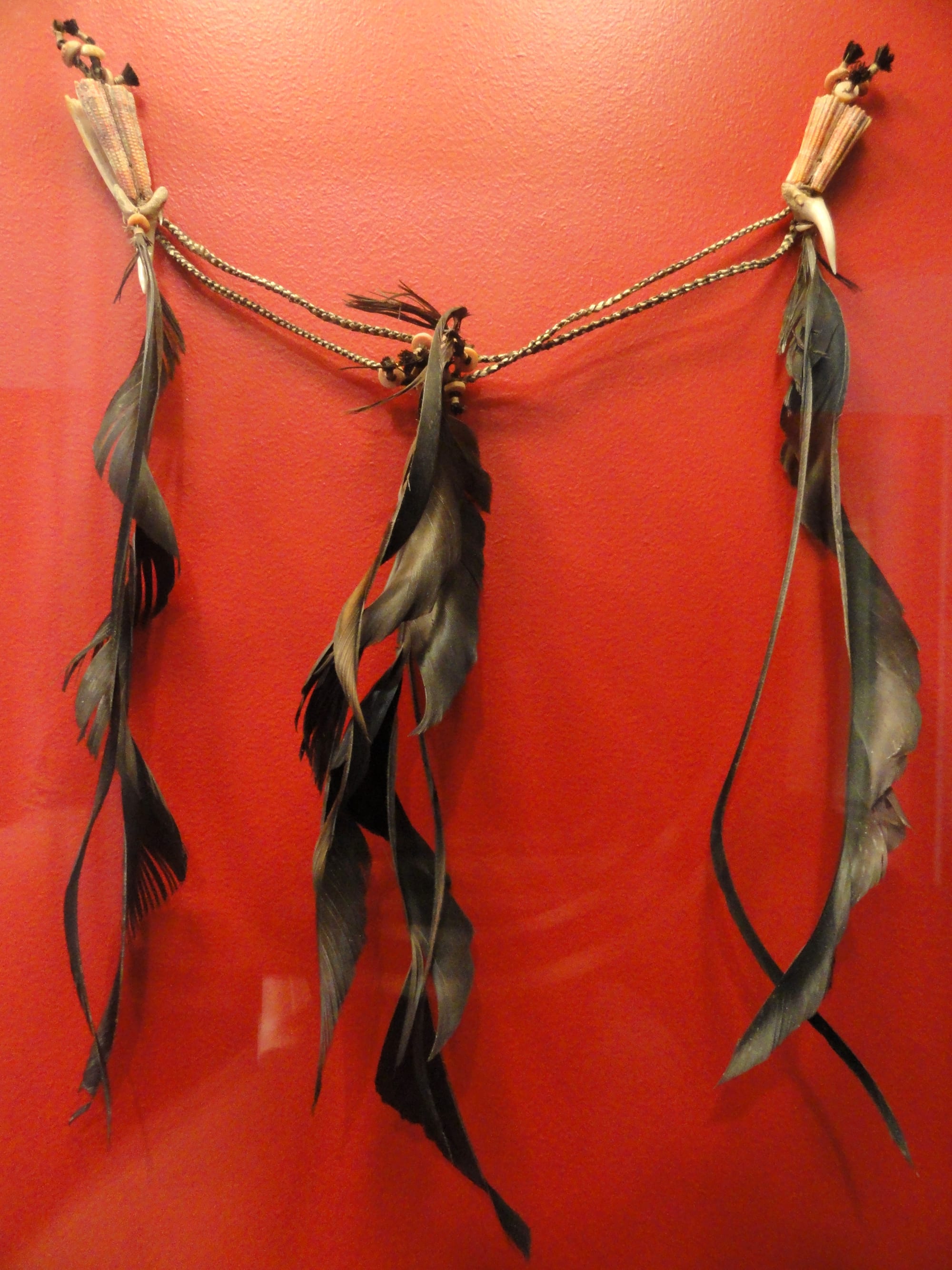 A braided cord hung against a red wall, with three long bunches of dark frigatebird feathers dangling from it, fastened with shell, small red and white disks and shark teeth