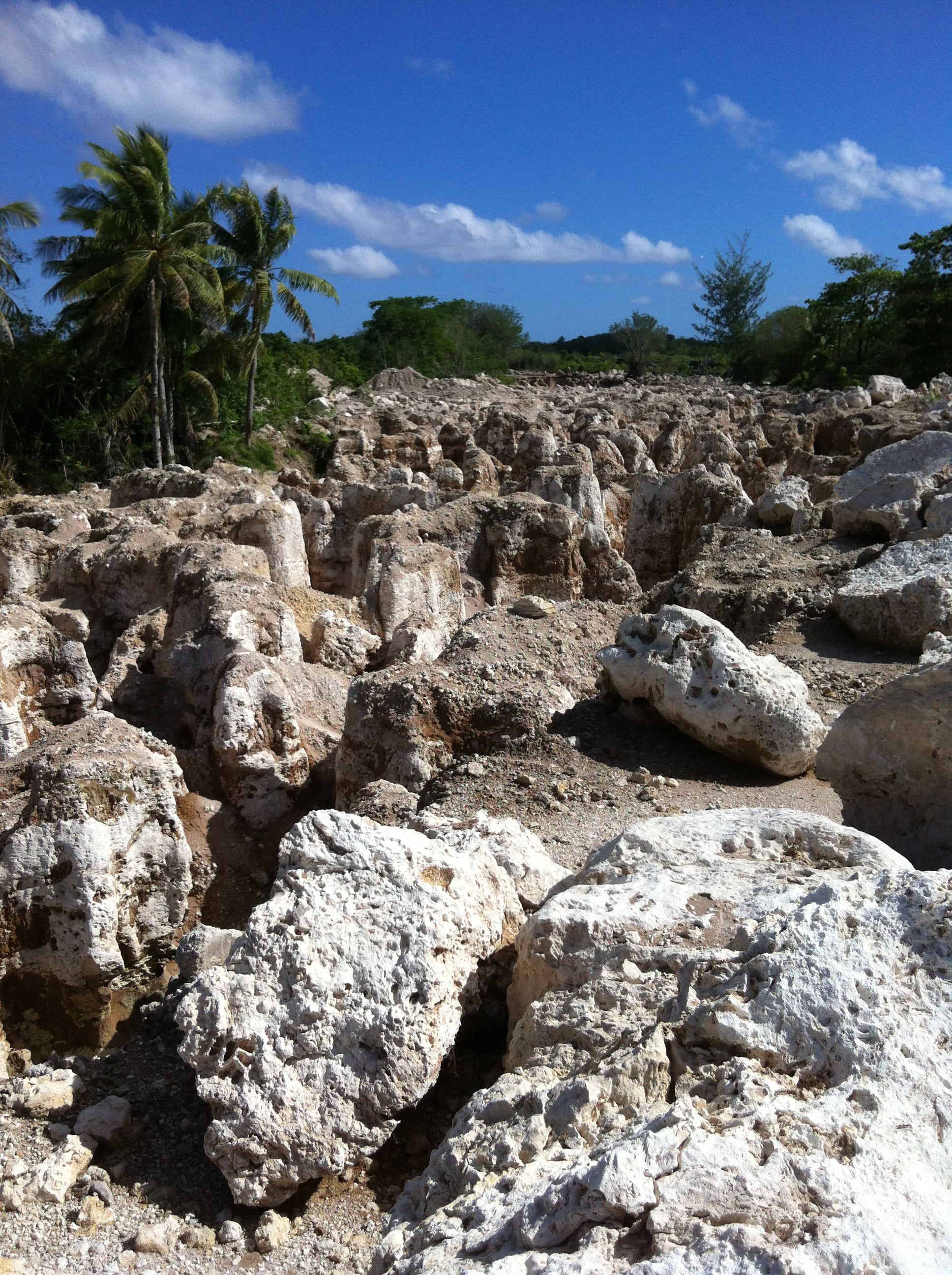 A grey wasteland of jagged limestone coral pinnacles left standing after phosphate has been dug from between them