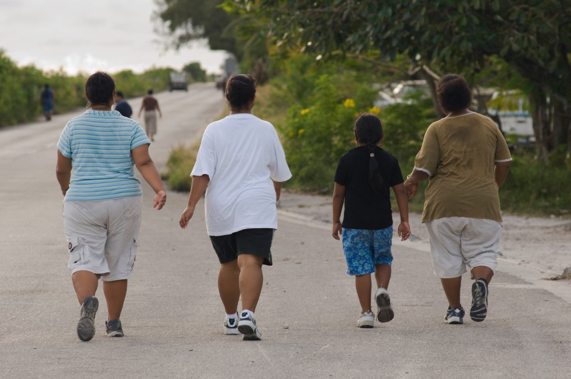 Four people, three adults and a child, seen from behind walking along a road beside greenery, with more walkers visible ahead
