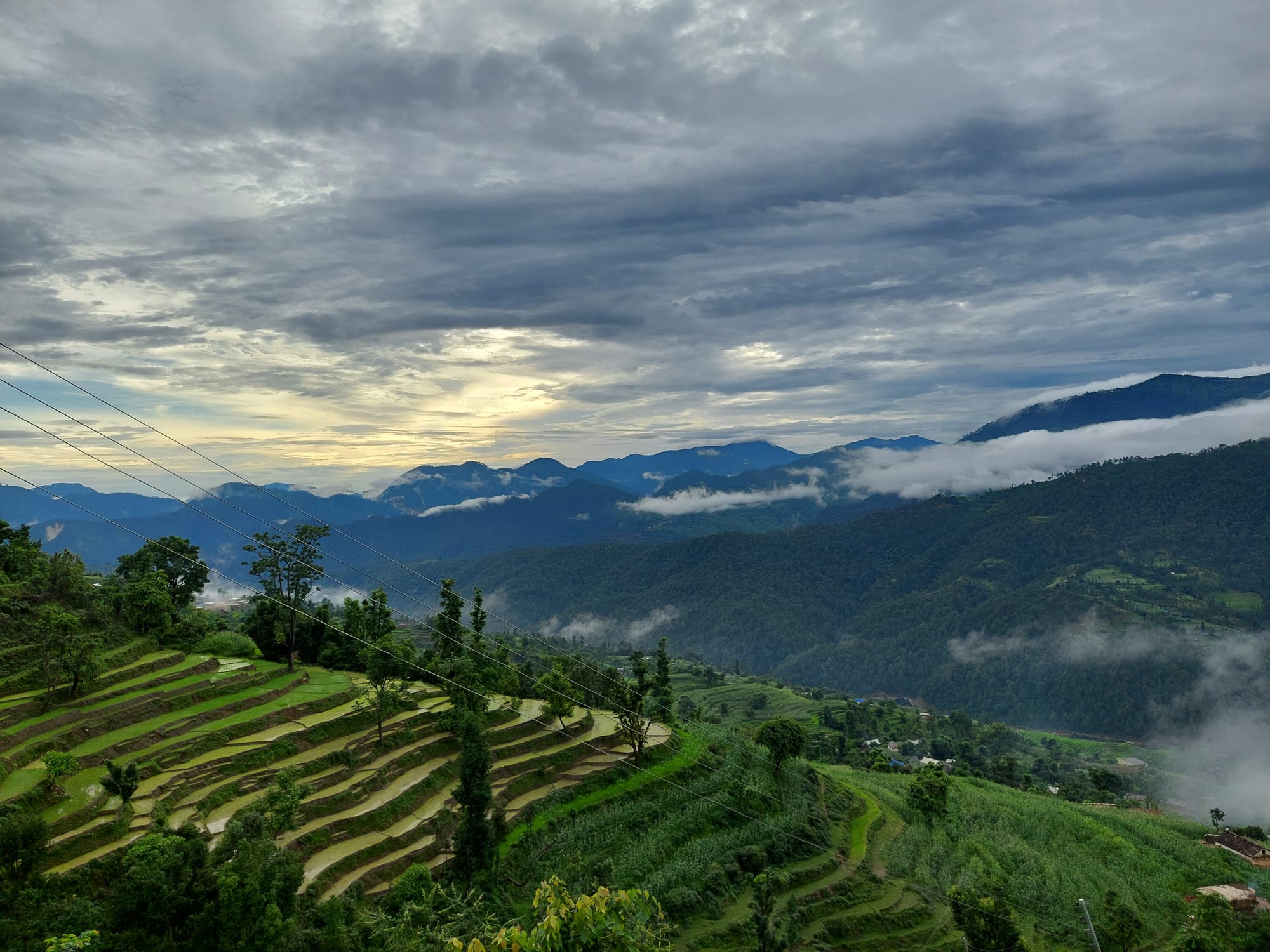 Green terraced rice paddies stepping down a hillside toward a misty valley with forested mountains beyond