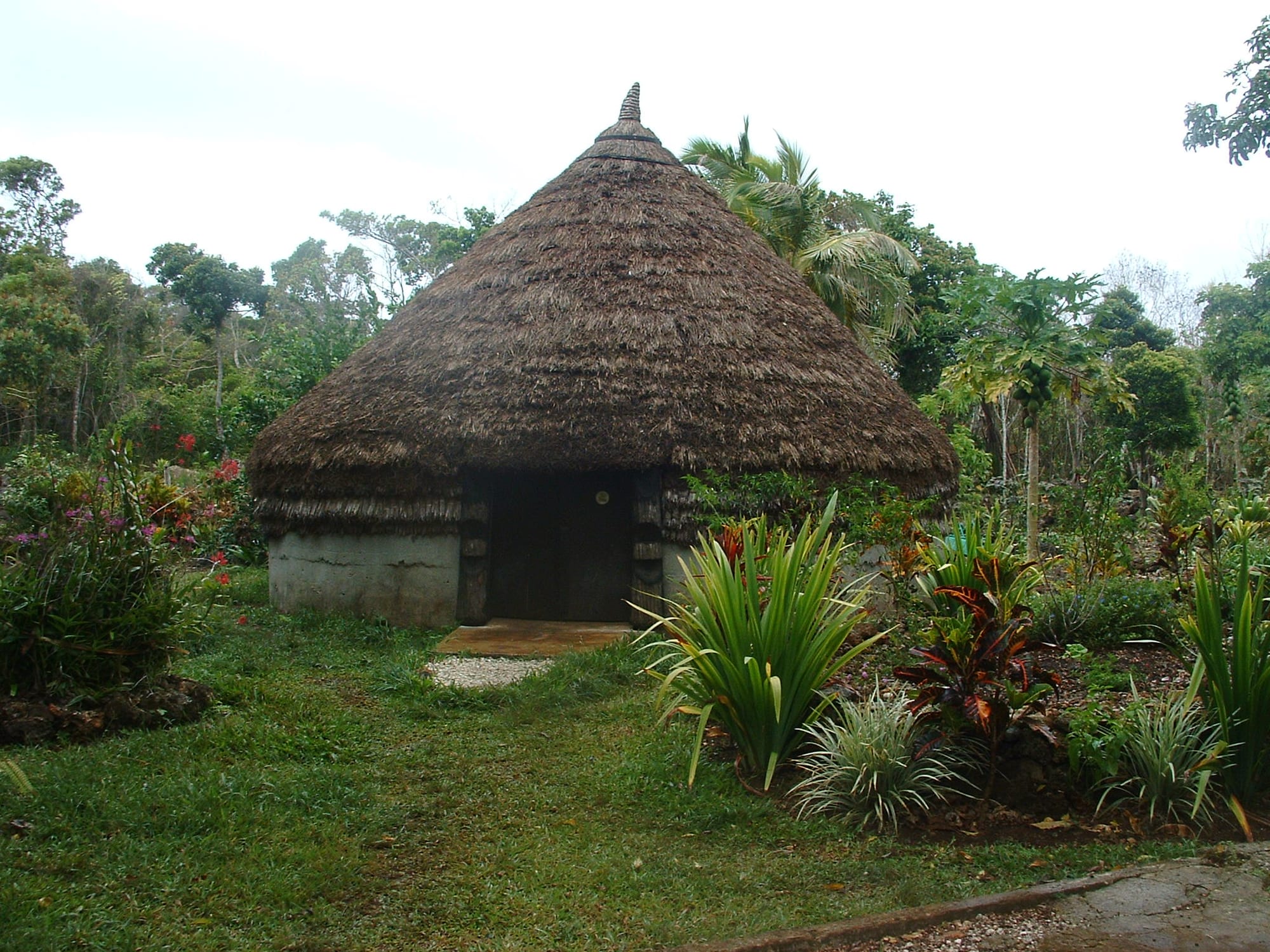 A round Kanak case with a tall thatched conical roof and carved wooden doorway, set among tropical garden plants