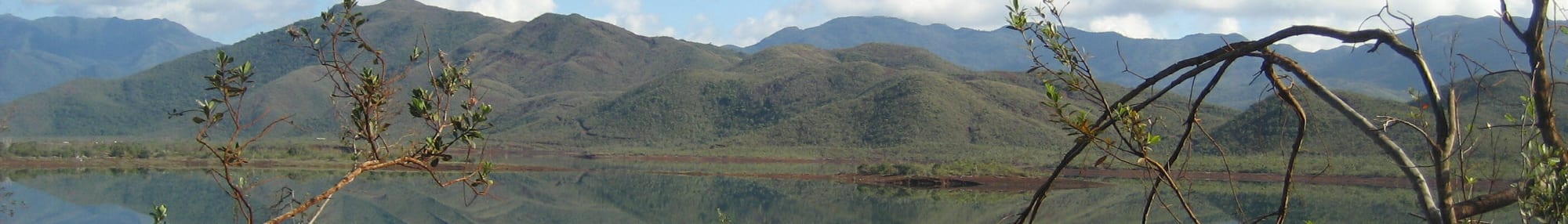 A river winding through dense forest with dead standing tree trunks