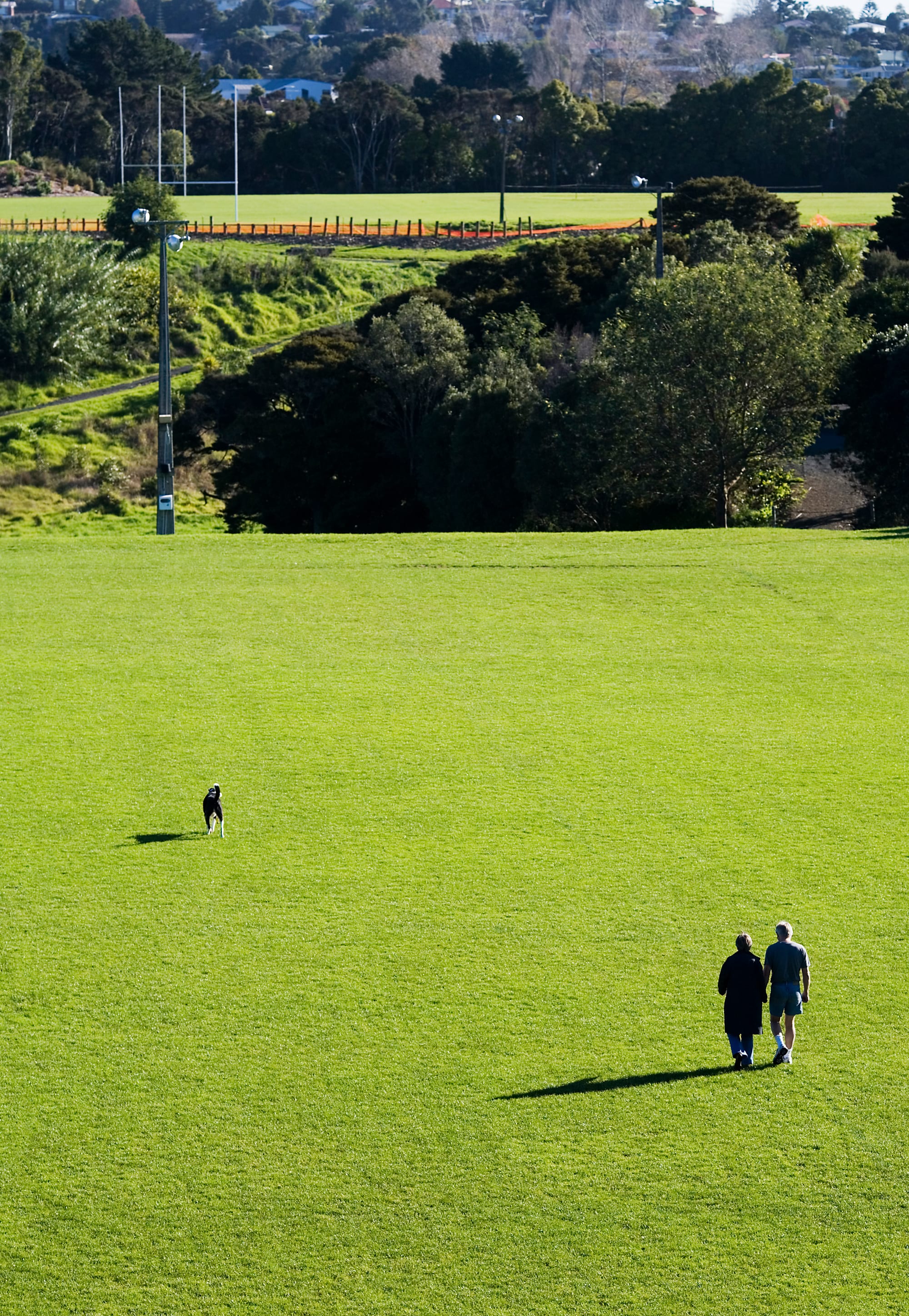 Two people and a dog walking across a wide, empty green playing field with rugby posts visible in the distance