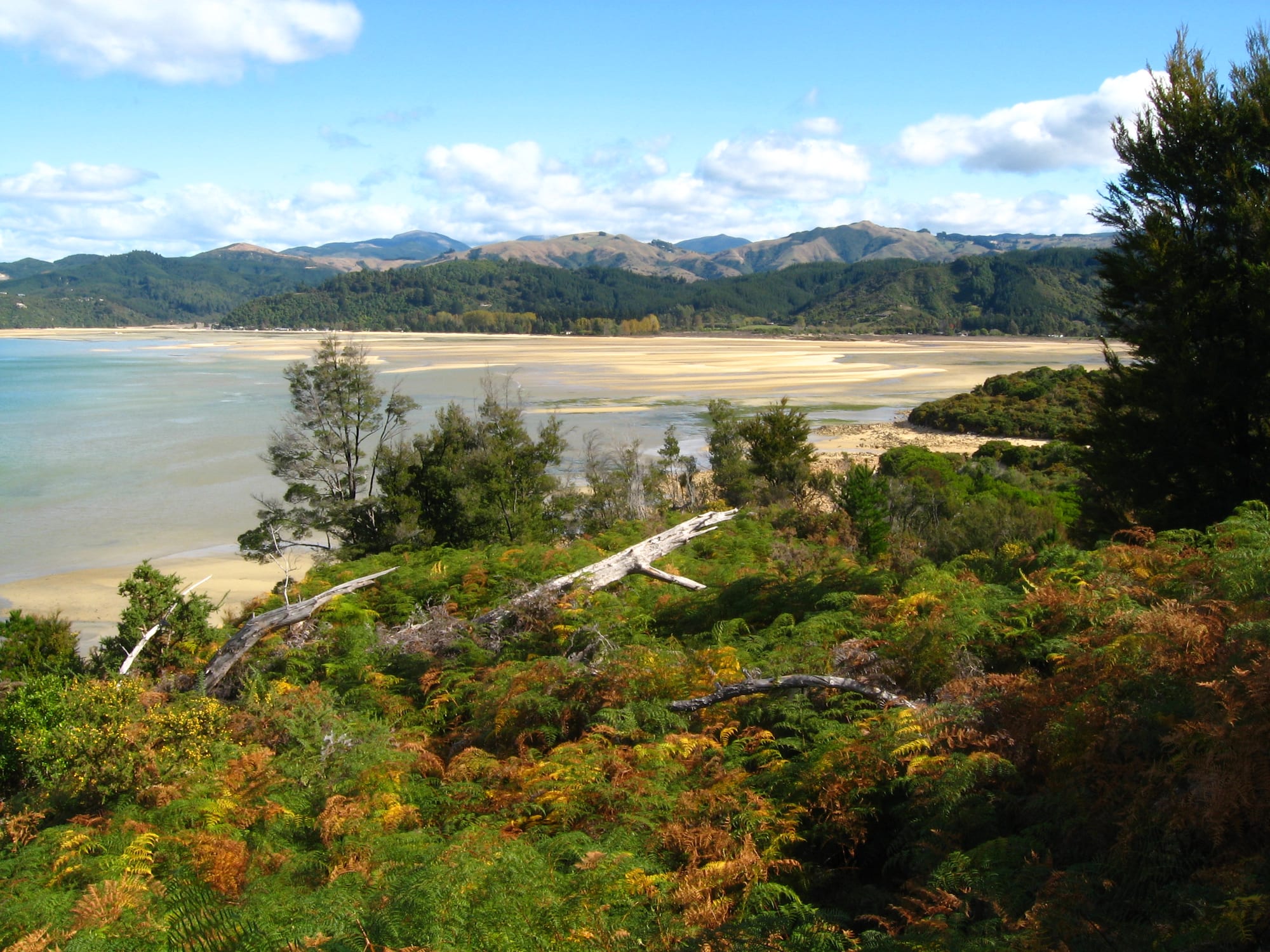 A golden sand beach curving along clear turquoise water backed by forest