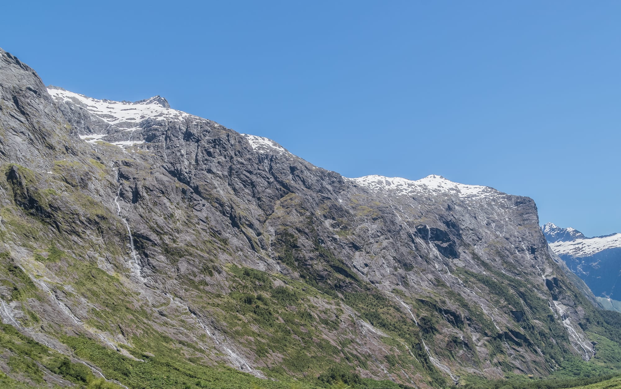 Steep, forested mountains dropping into a still fjord under moody clouds