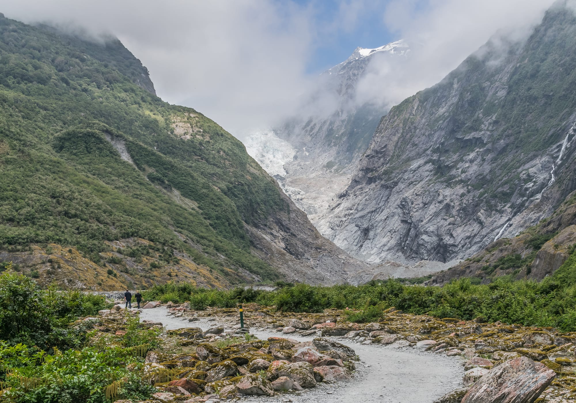A wide glacier flowing down between steep, forested mountains