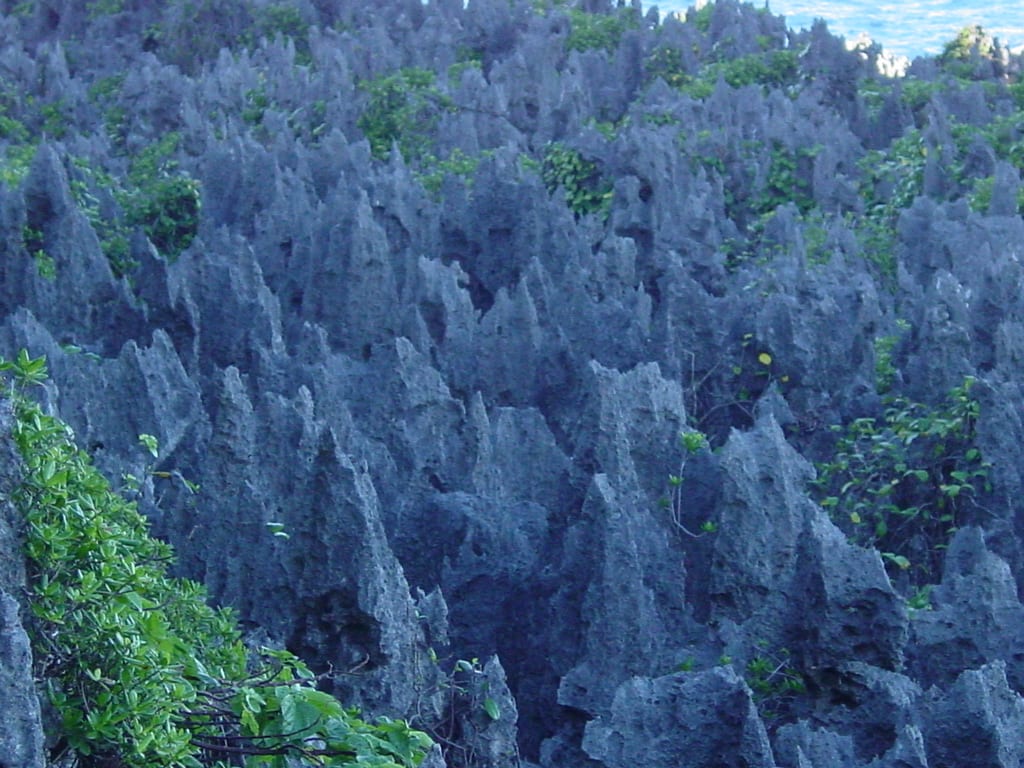 A narrow limestone chasm with sharp coral rock walls and clear water below