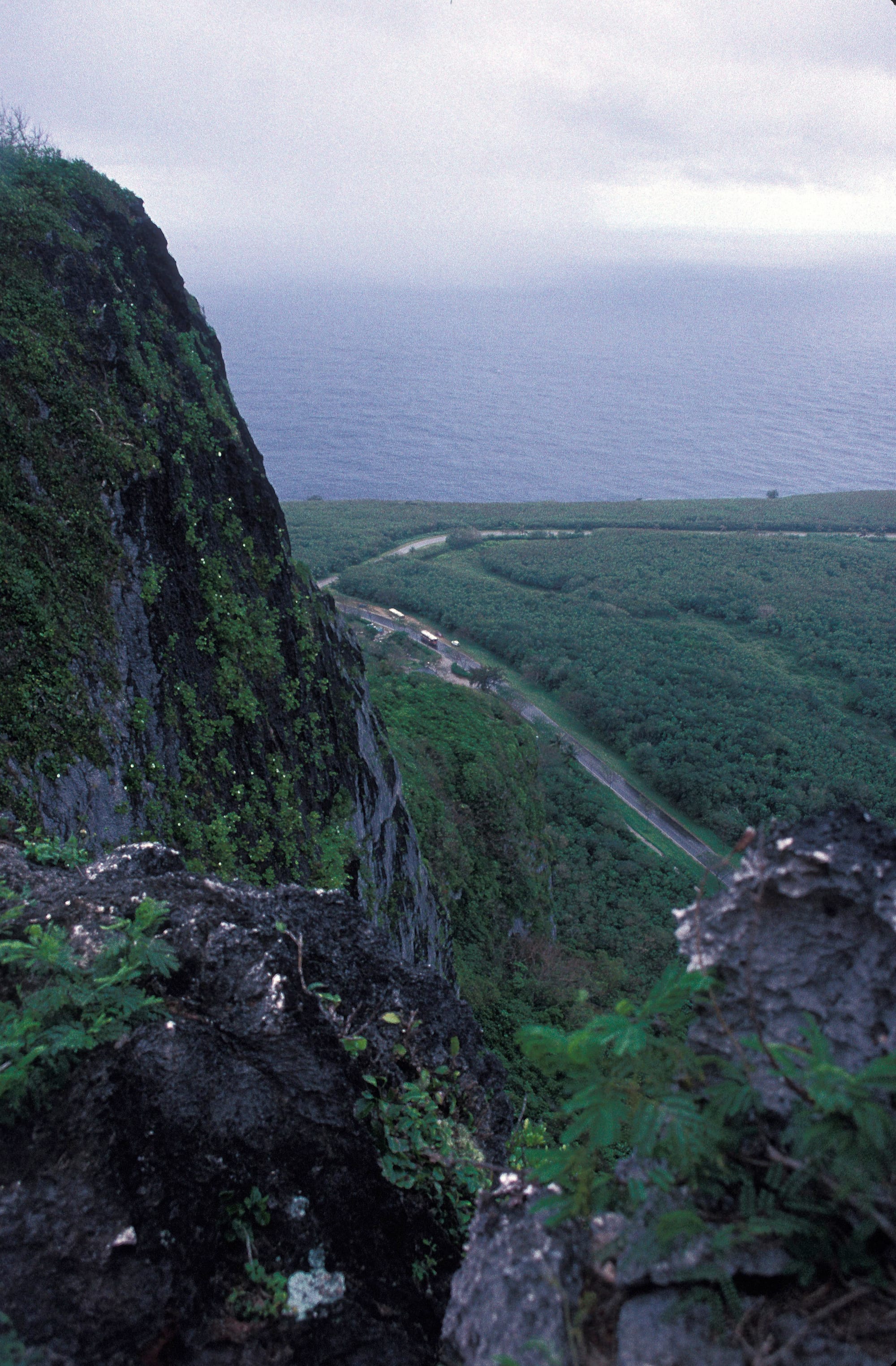 A memorial marker on a cliff edge overlooking the ocean