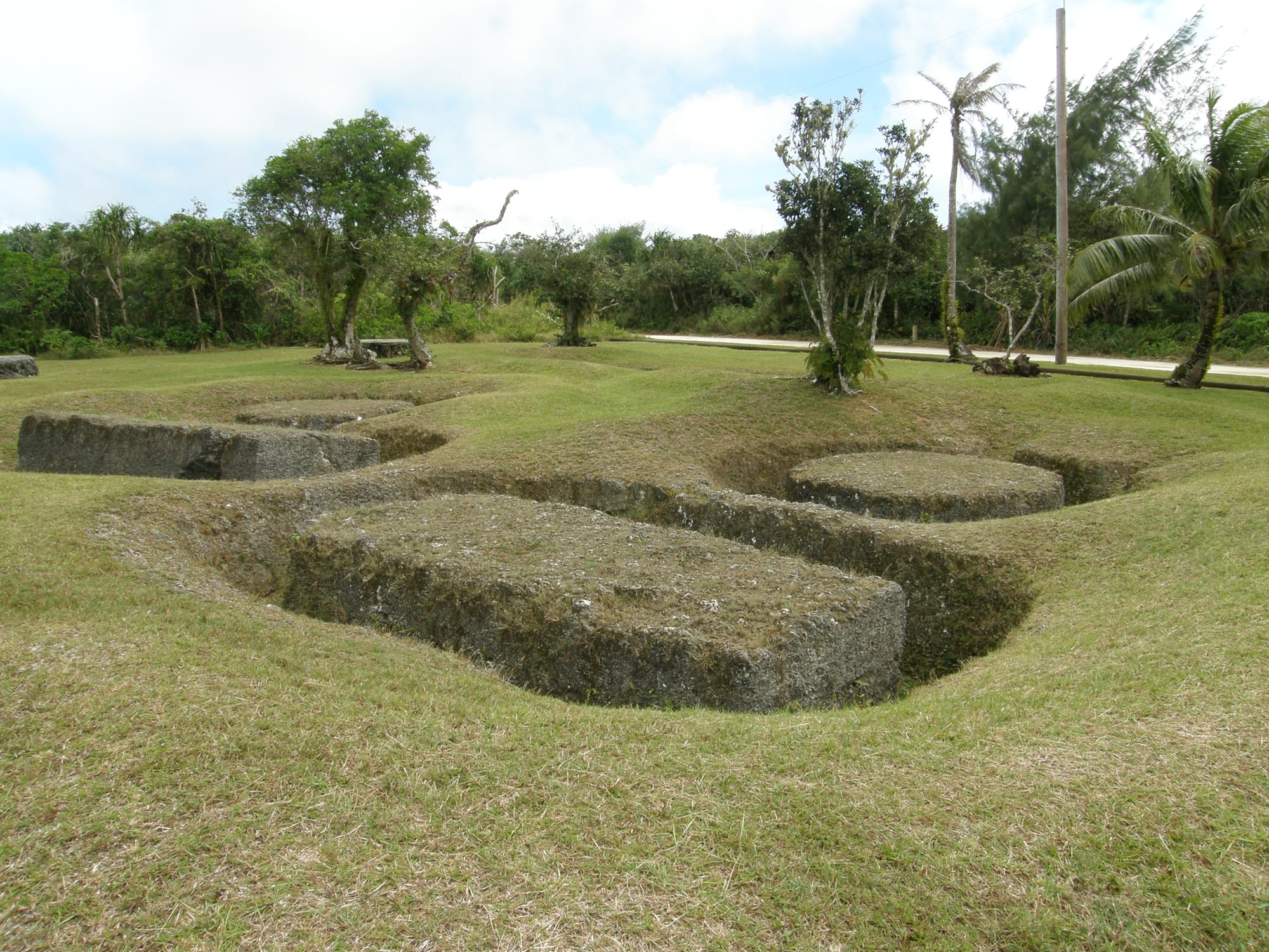 Several large rectangular and rounded limestone blocks lying half-cut in shallow grassy pits, with trees and palms behind under a pale sky