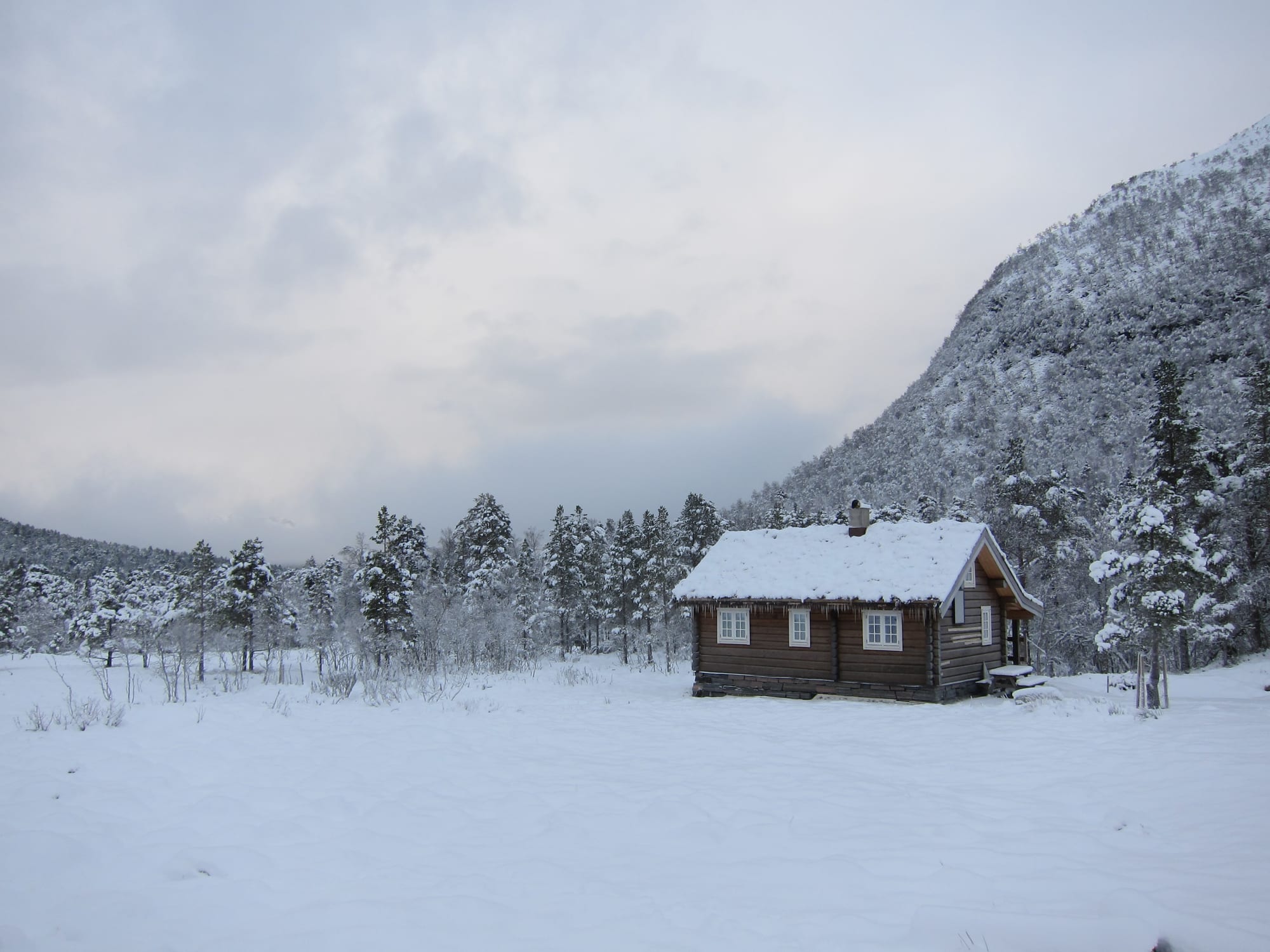 A small brown wooden cabin standing alone in a snow-covered valley beneath a forested mountainside