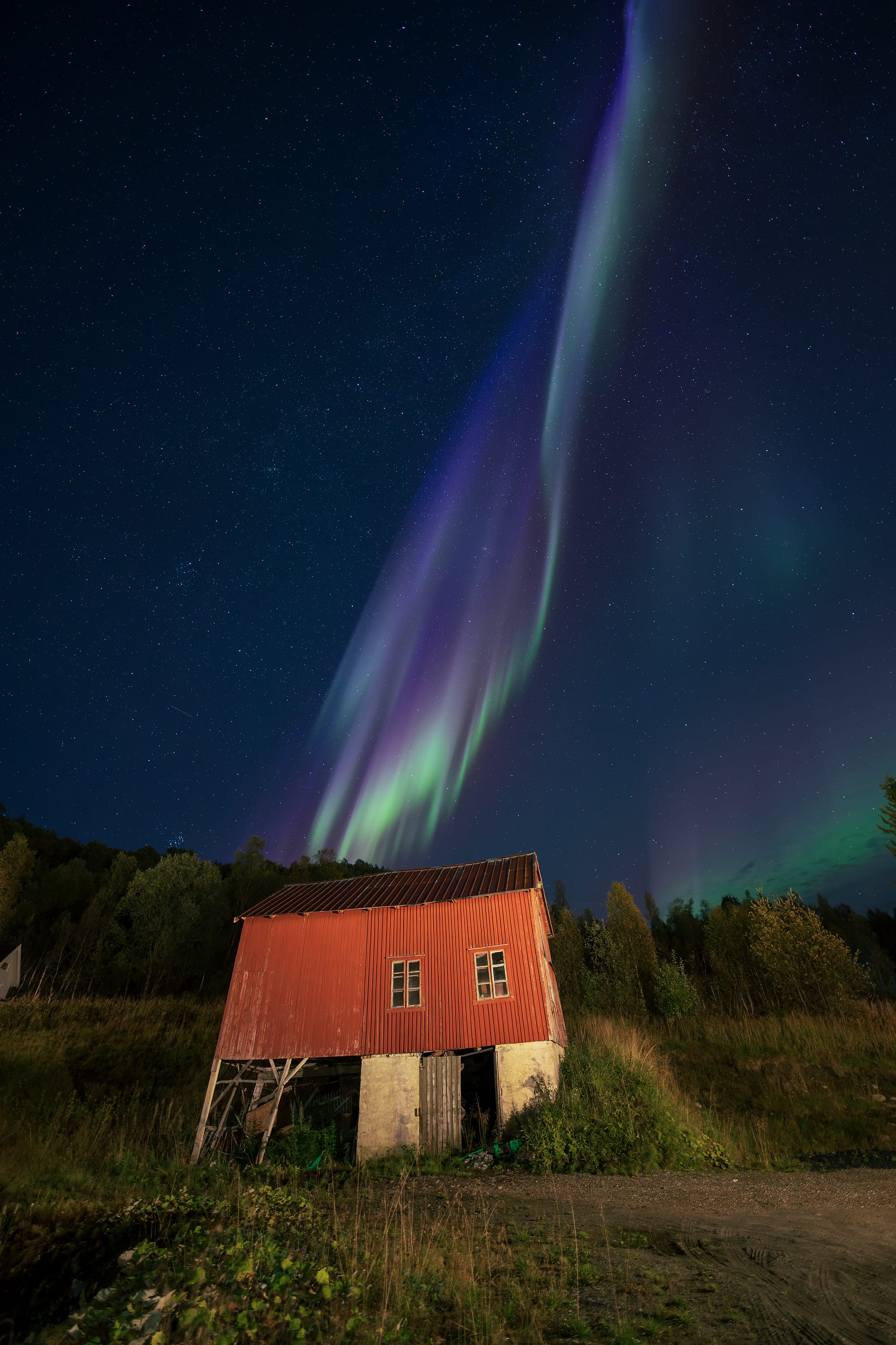 Green curtains of aurora light in the night sky over a snowy landscape