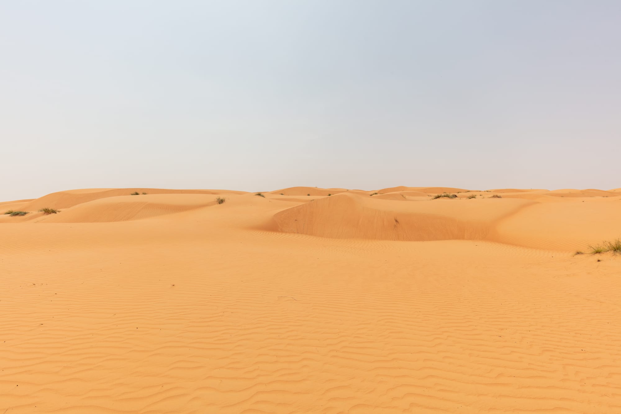 Vast rolling orange sand dunes stretching to the horizon