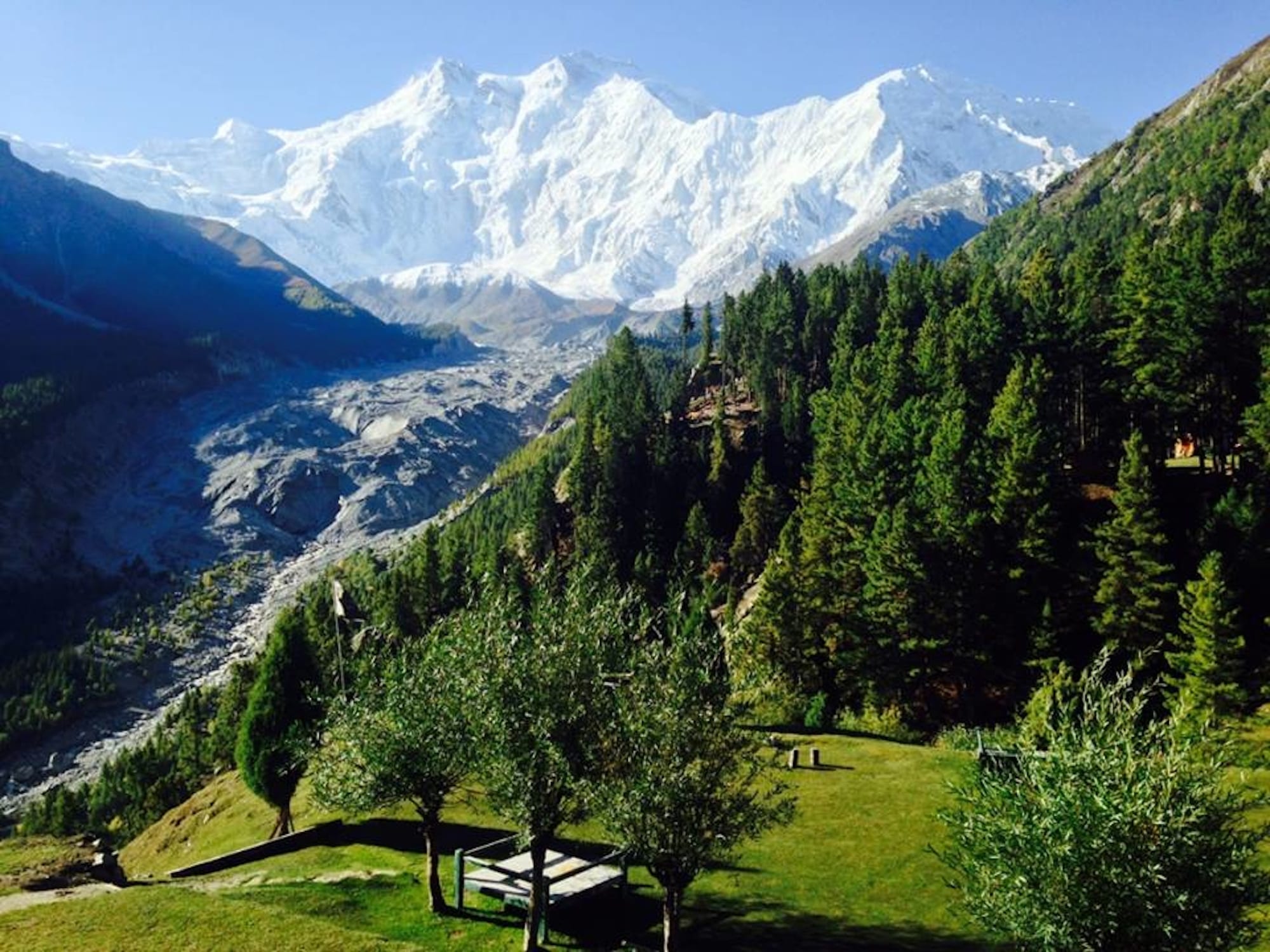 A lush alpine meadow with a view of a massive snow-covered peak