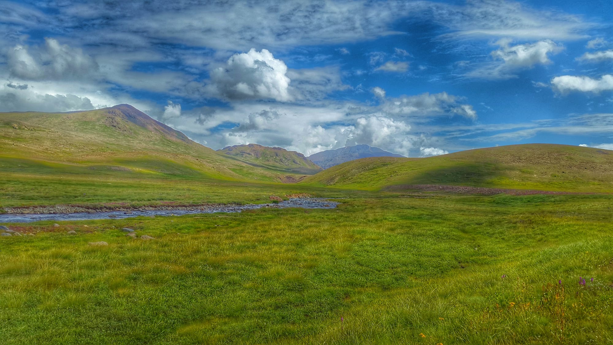 A vast high-altitude plateau with wildflowers and distant mountains