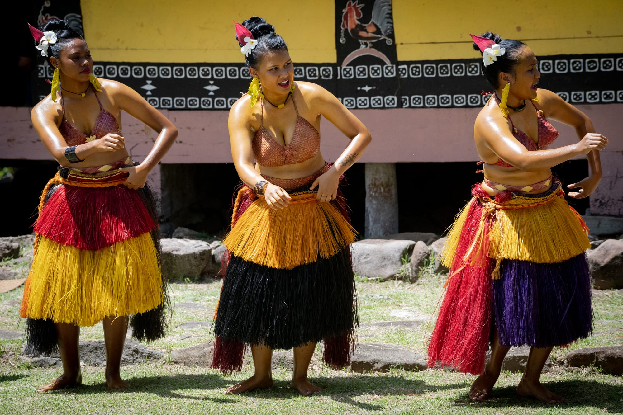 Three women in layered red, yellow, black and purple grass skirts, woven tops and flowers in their hair dance barefoot on grass in front of a yellow wall painted with a rooster and geometric patterns